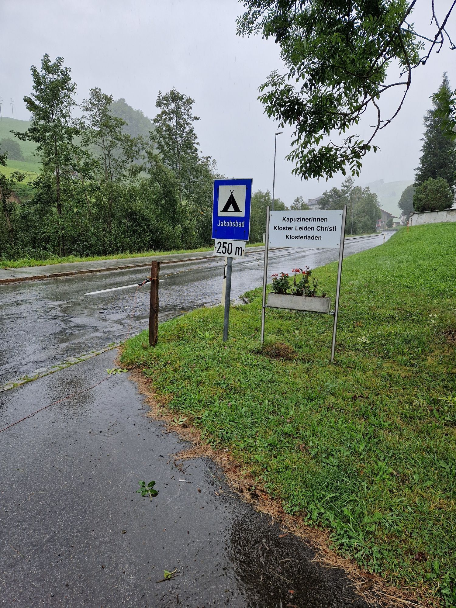 Strasse, nass, mit Einfahrt, Wiese, Schild mit Aufschrift "Kapuzinerinnen Kloster Leiden Christi Klosterladen"