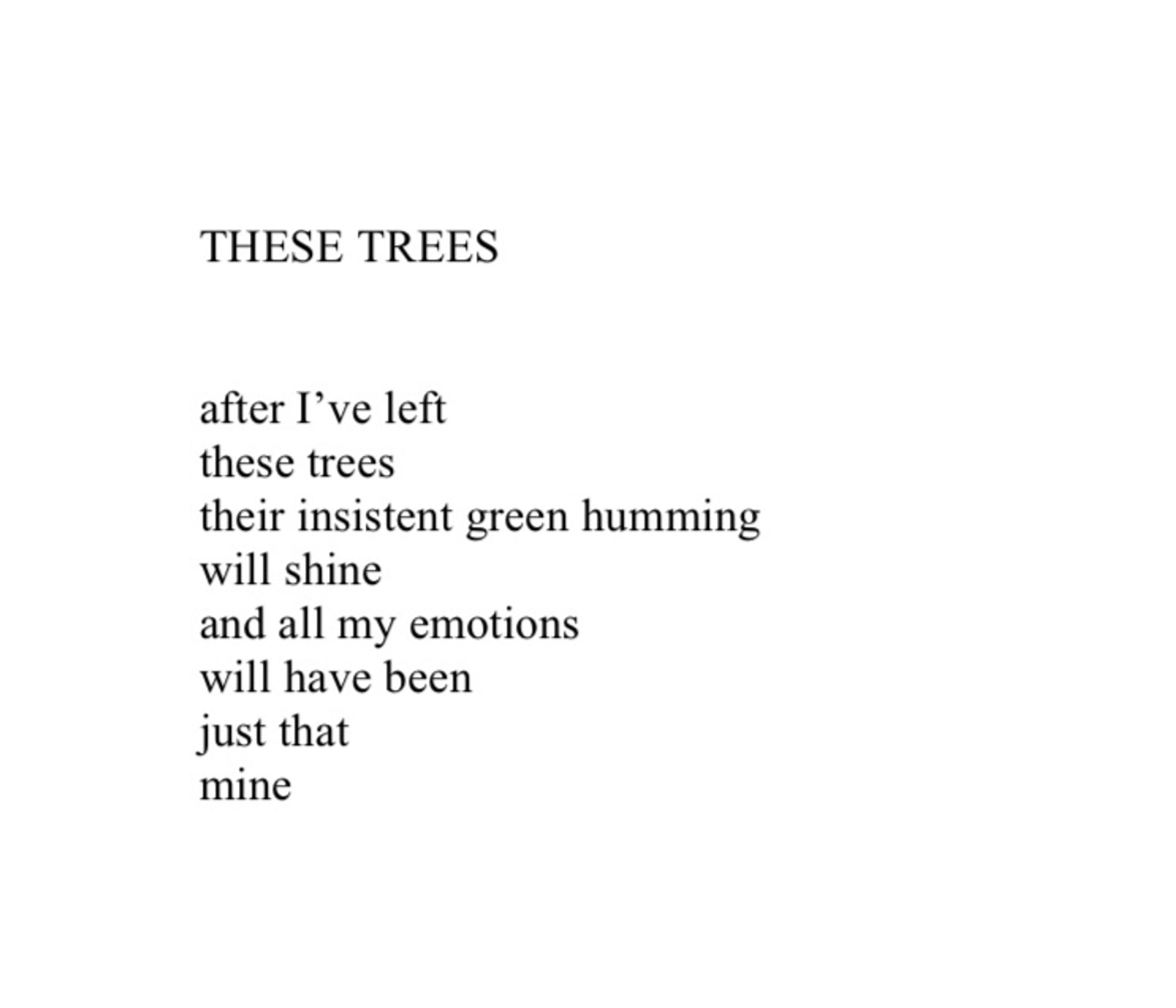 THESE TREES


after I’ve left
these trees
their insistent green humming
will shine
and all my emotions
will have been
just that
mine