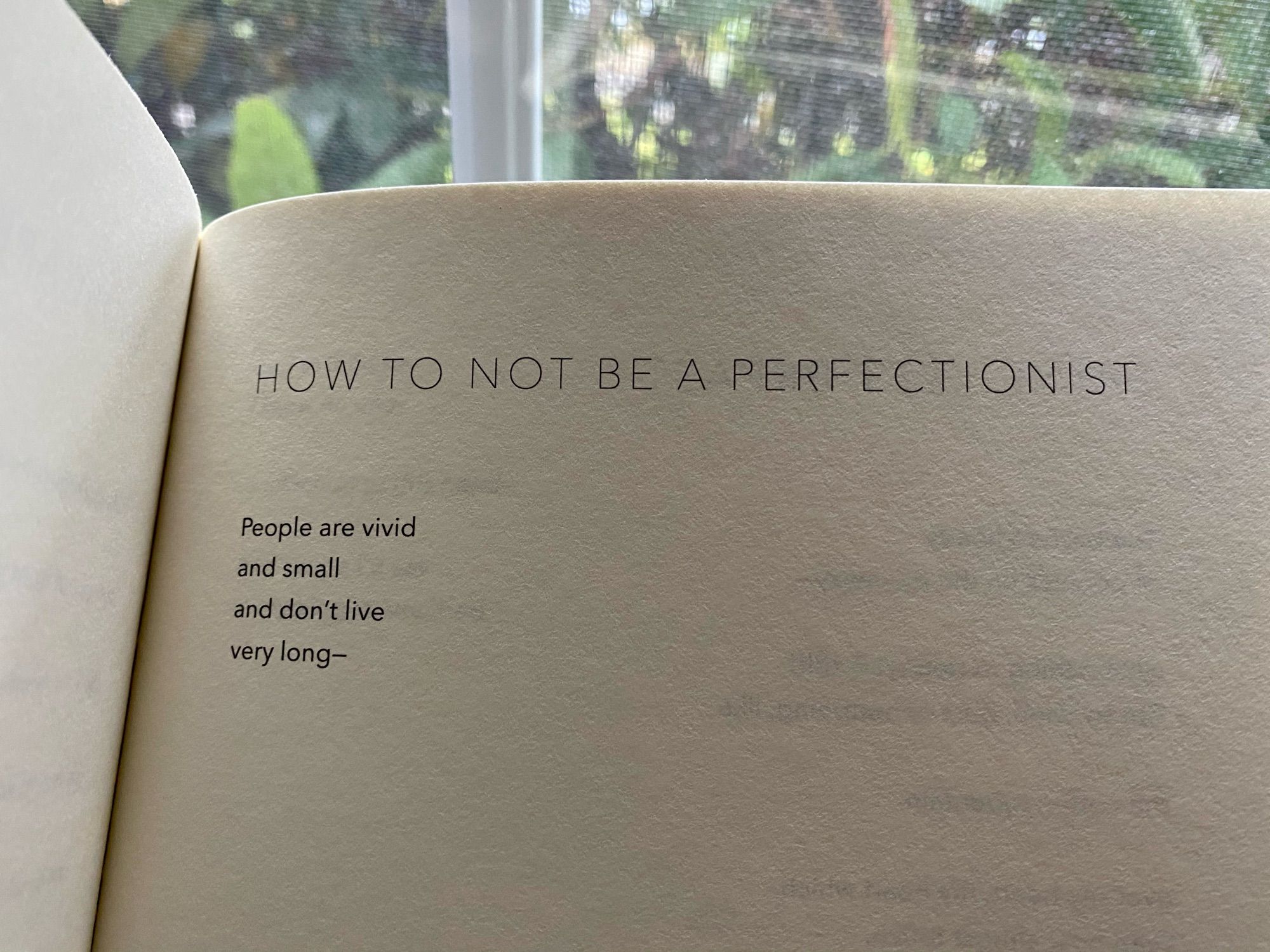 HOW TO NOT BE A PERFECTIONIST


People are vivid
and small
and don't live
very long–