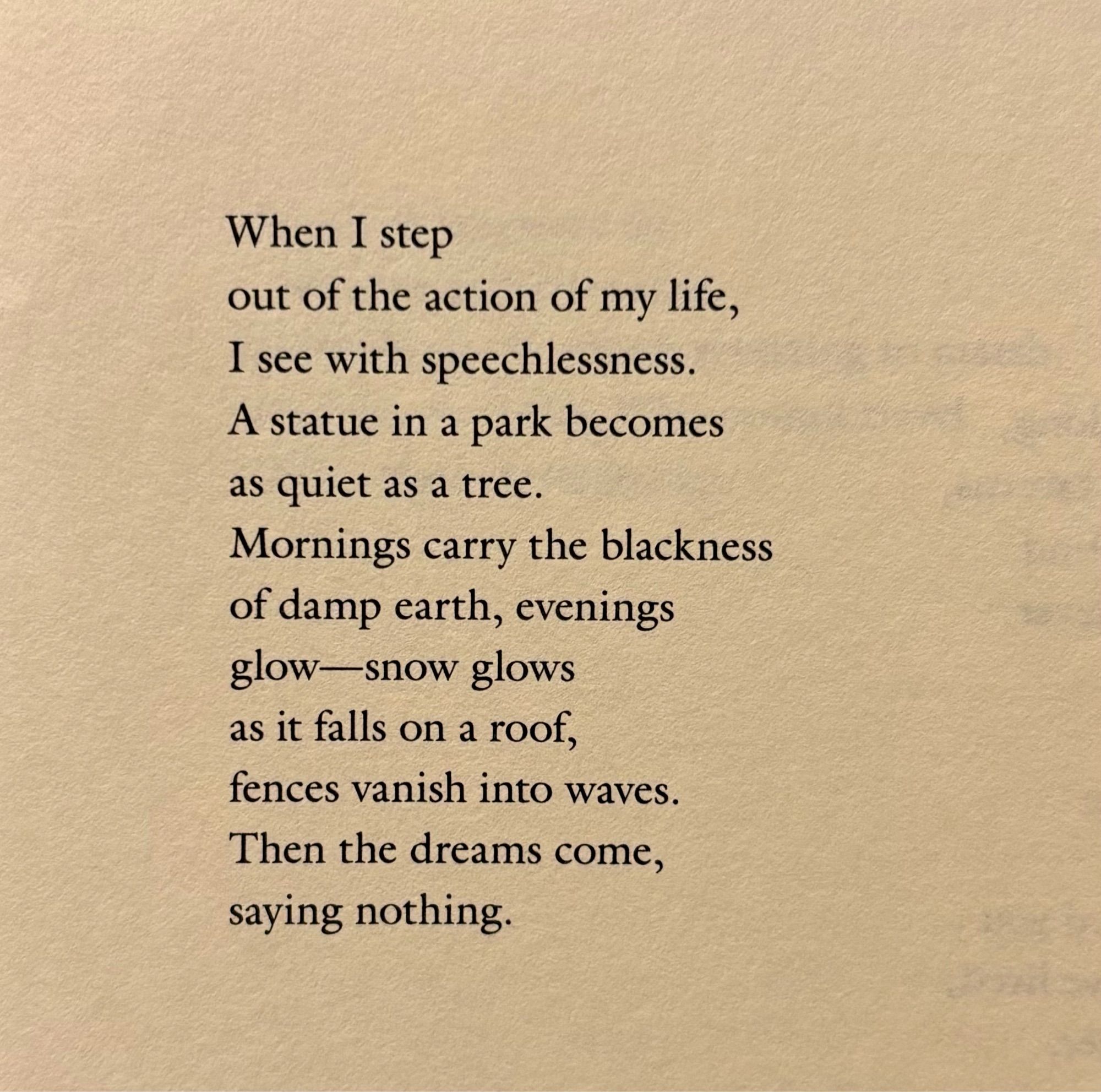 When I step
out of the action of my life,
I see with speechlessness.
A statue in a park becomes
as quiet as a tree.
Mornings carry the blackness
of damp earth, evenings
glow—snow glows
as it falls on a roof,
fences vanish into waves.
Then the dreams come,
saying nothing.