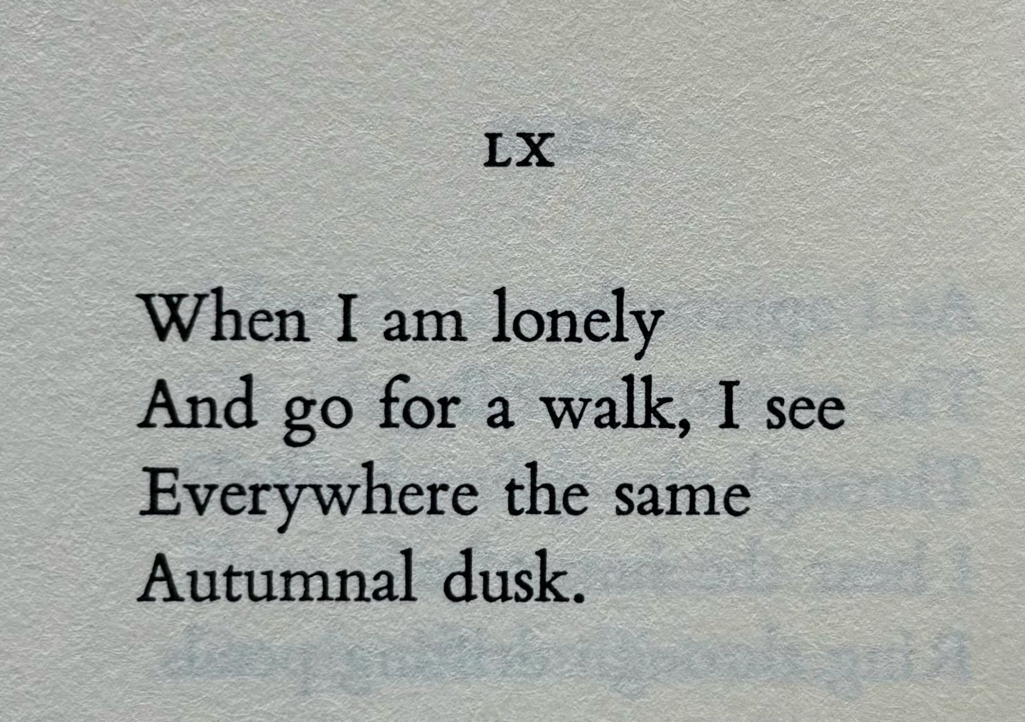 LX

When I am lonely
And go for a walk, I see
Everywhere the same
Autumnal dusk.