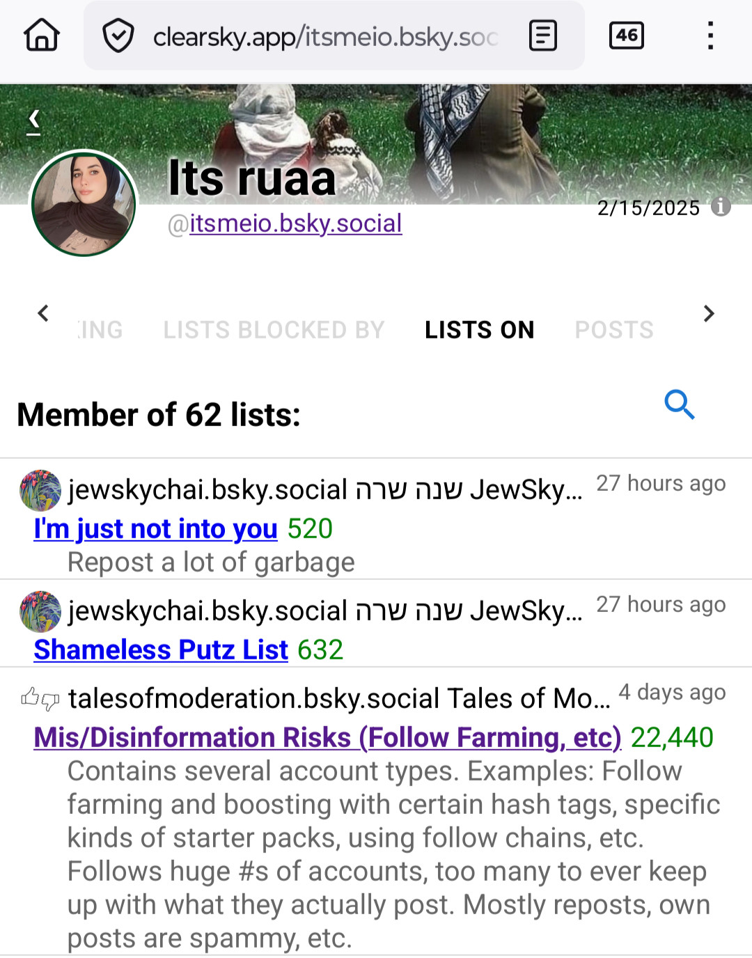 A screenshot of a list blocking Ruaa since four days ago. The list is called "mis/disinformation risks (follow farming, etc)"