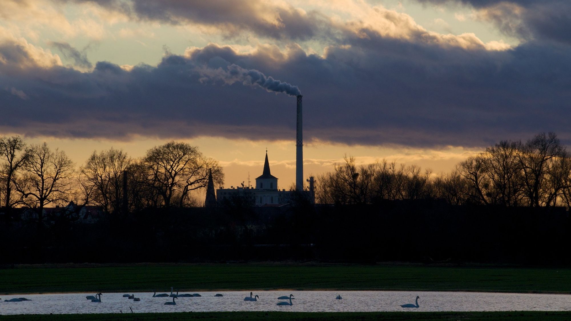 Der Blick auf Dessau von den Muld-Wiesen kurz vor Sonnenuntergang. Im Vordergrund auf dem Acker ist ein stattlicher See, auf dem eine Vielzahl an Schwänen schwimmt, dann folgt Auwald, die Bäume sind kahl, der Himmel stark bewölkt und der Schornstein eines Heizkraftwerks dampft.