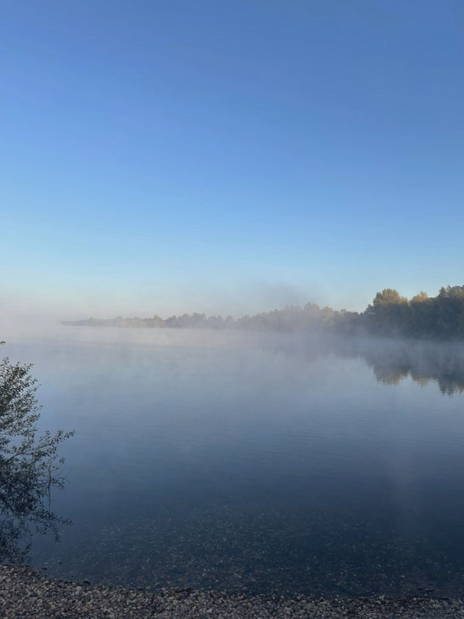 Nebel über dem Lake Dingenskirchen.