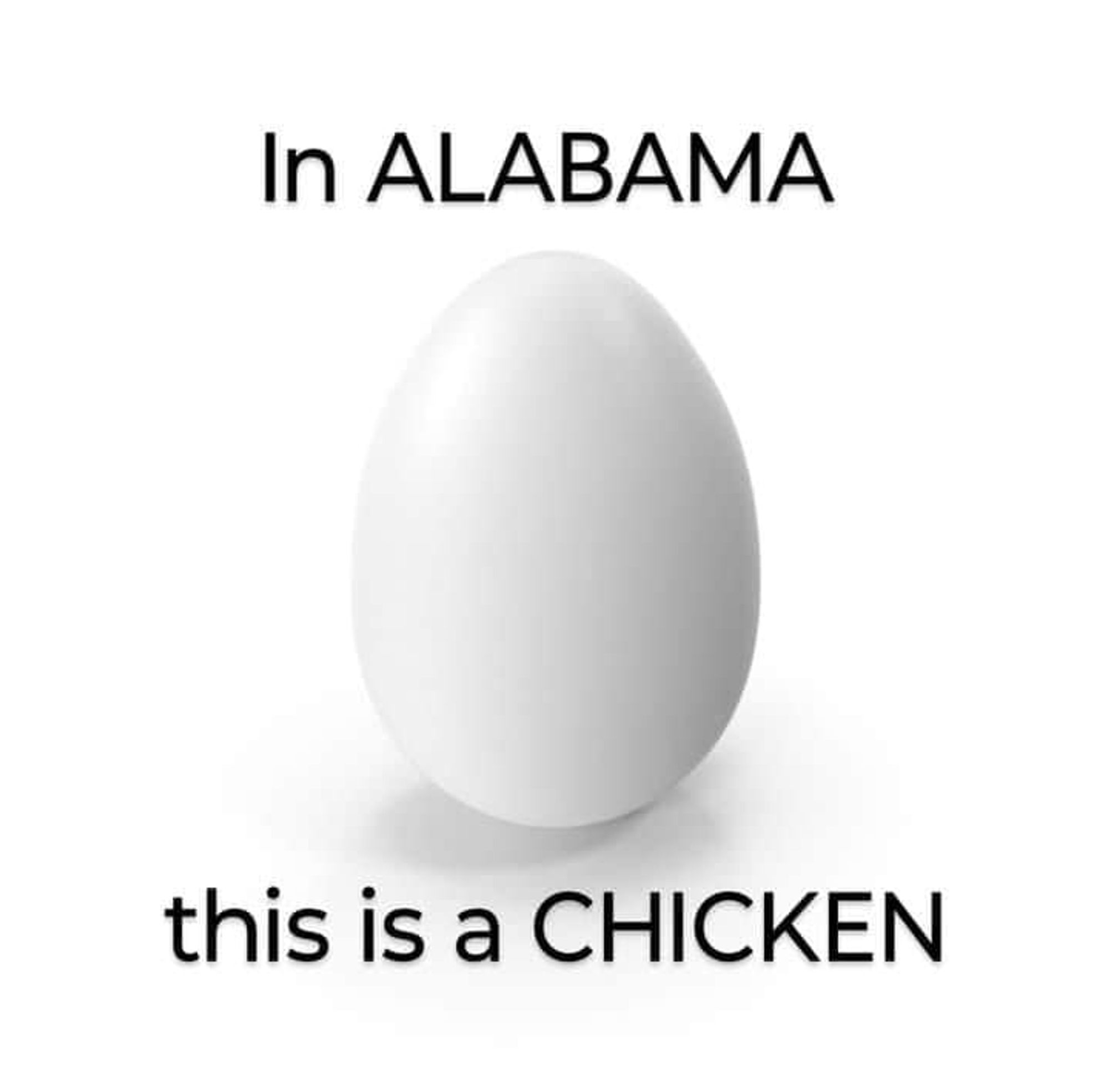 In Alabama an egg is a chicken