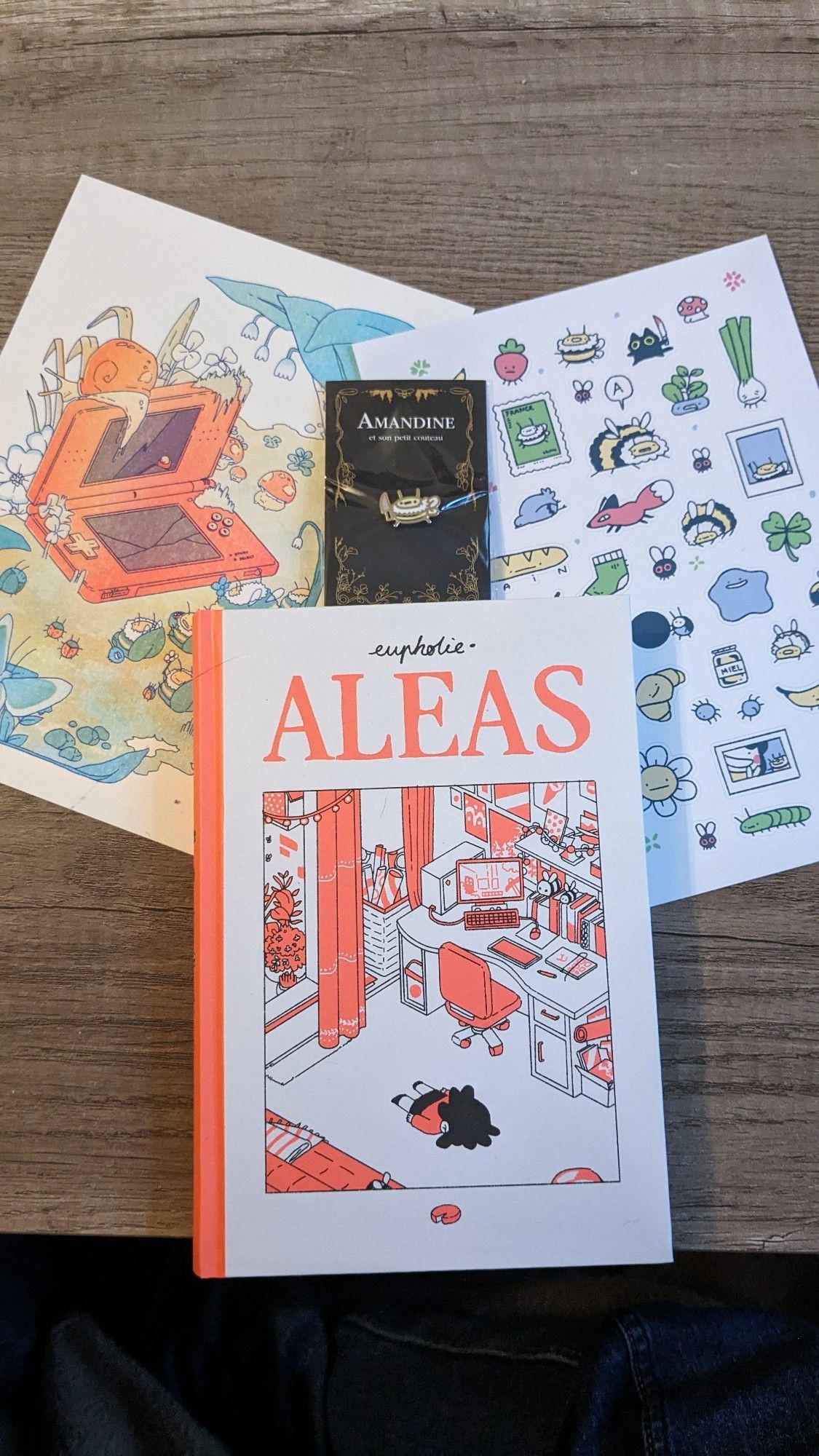 Livre "aléas" de la dessinatrice Eupholie