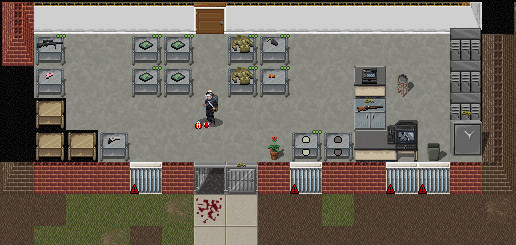 Cropped screenshot from Cataclysm: Dark Days Ahead. The player stands inside a gun shop, with racks full of guns, manuals, and combat gear.