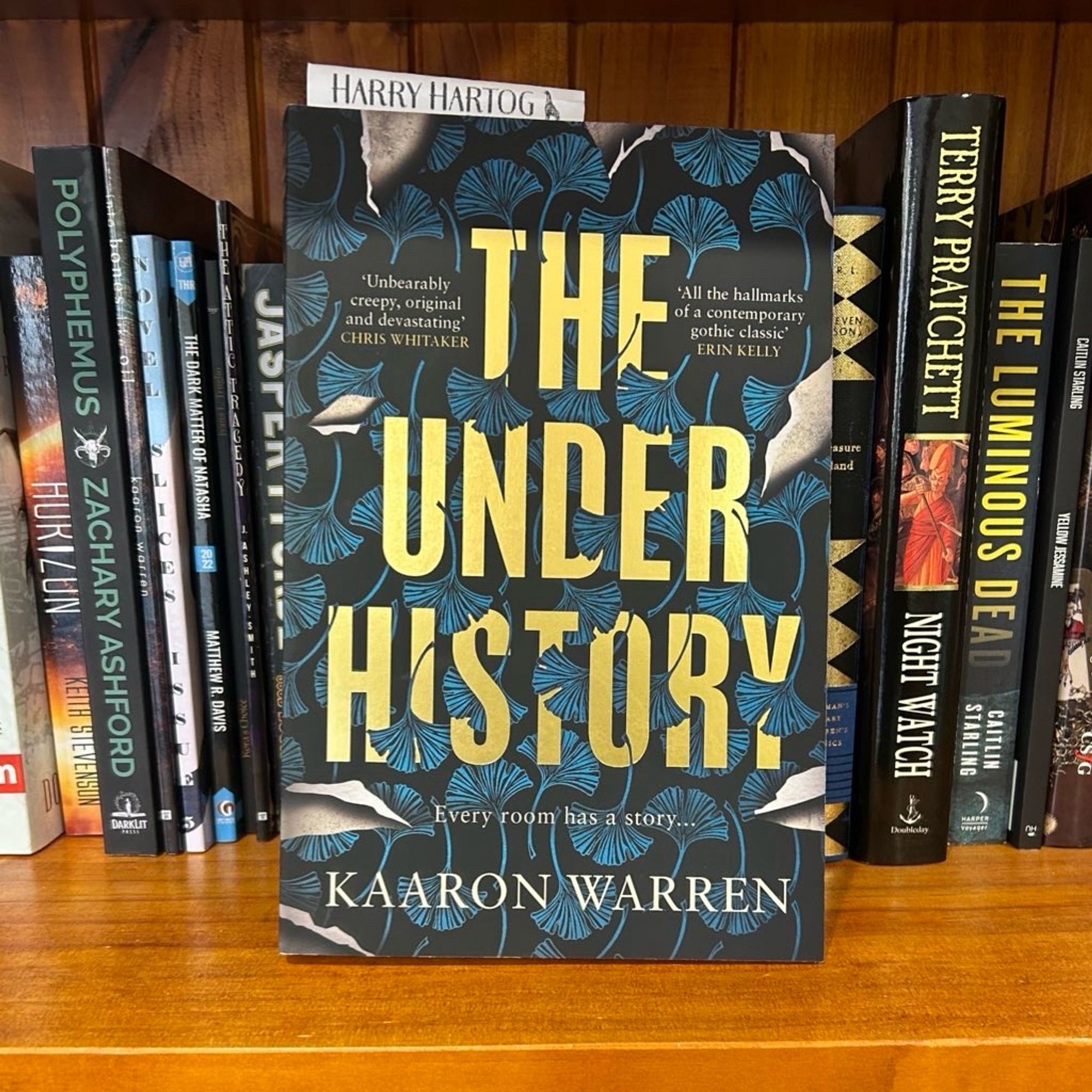 Book cover of THE UNDERHISTORY by Kaaron Warren on a bookshelf, captioned Every room has a story…