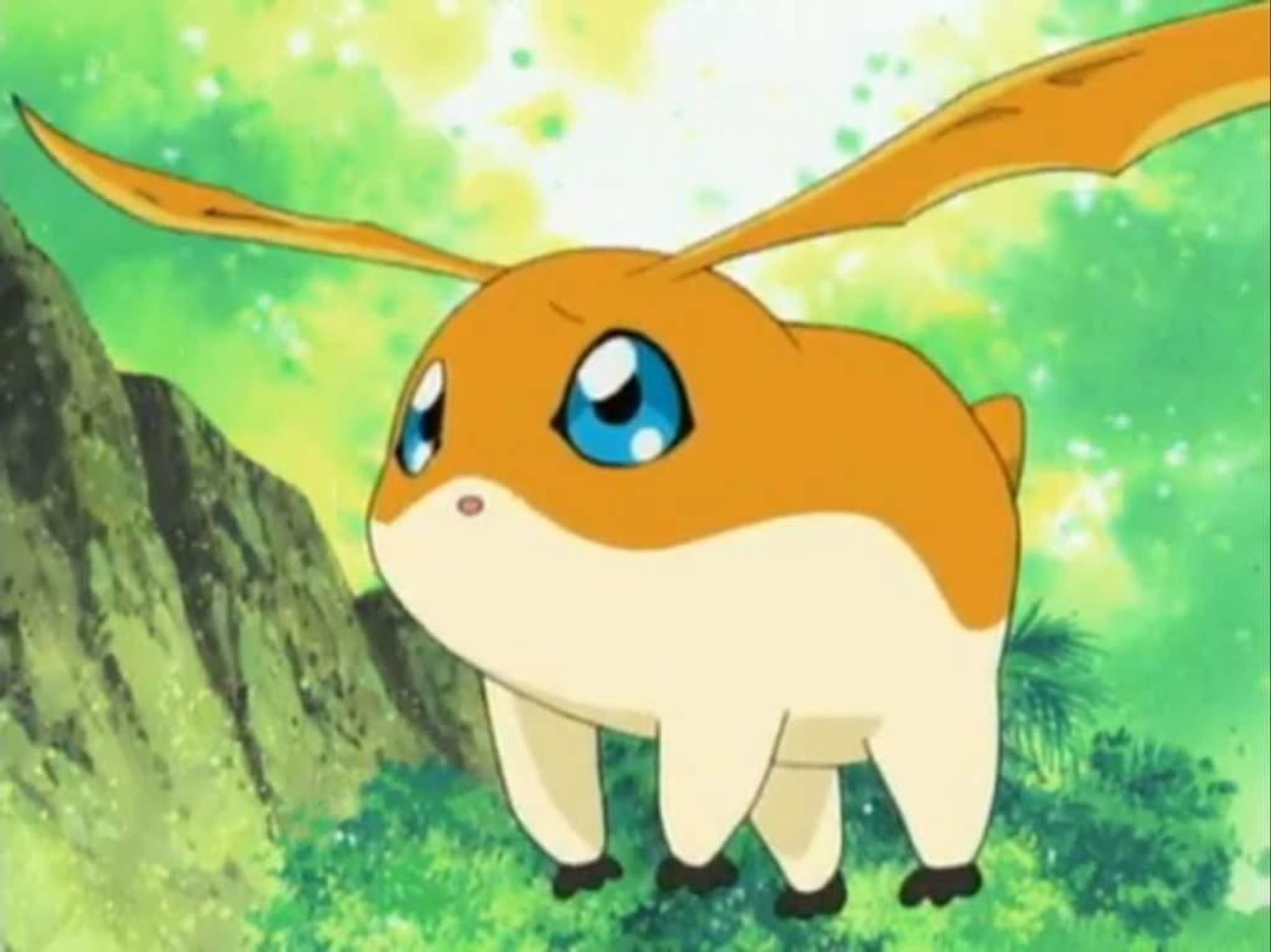 Patamon, a small, cute orange-and-cream mammalian Digimon with large blue eyes and large bat wings for ears.