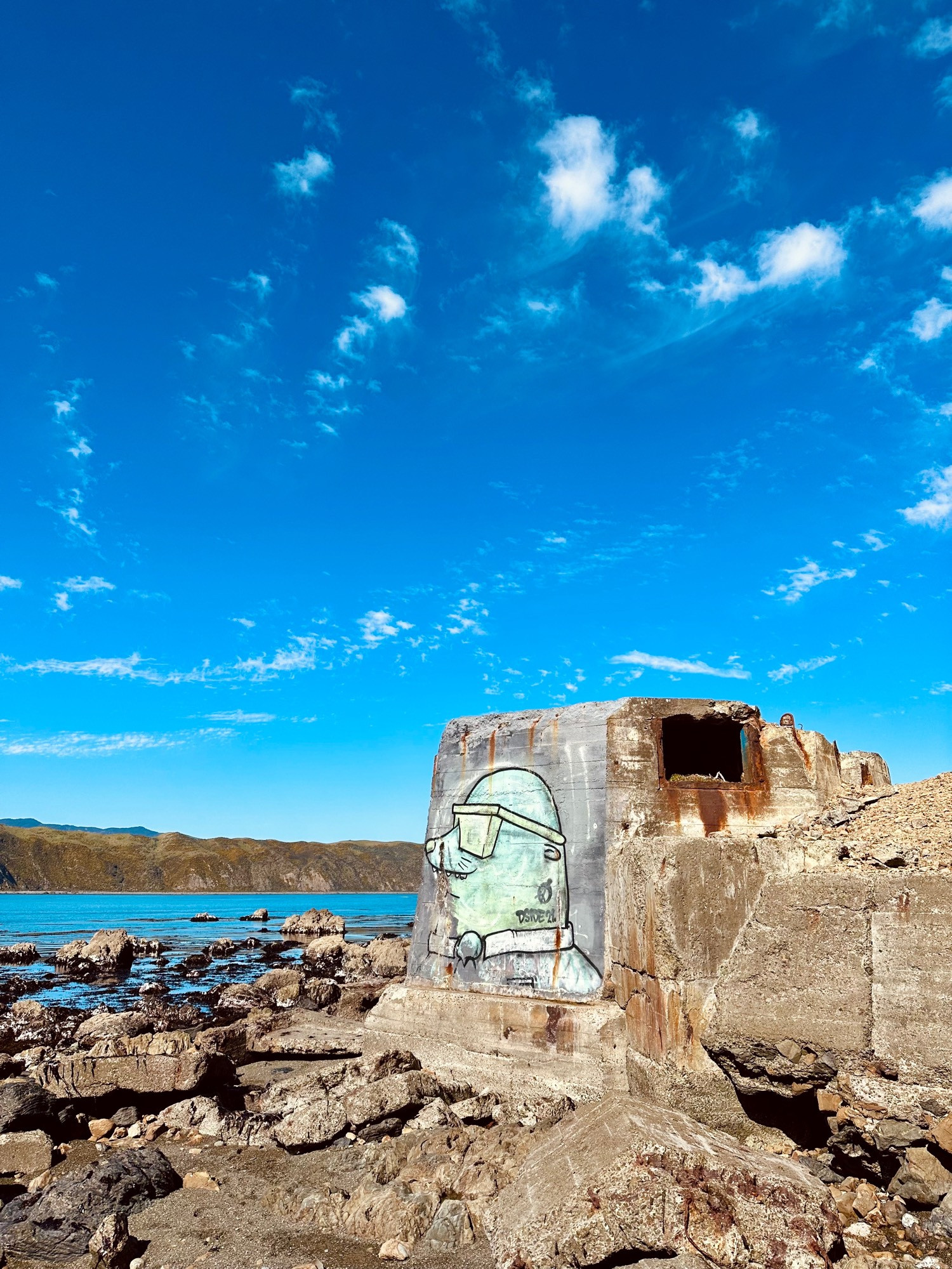 bluish seal, wearing glasses, graffiti on old gun bunker, harbour inlet behind, large blue sky