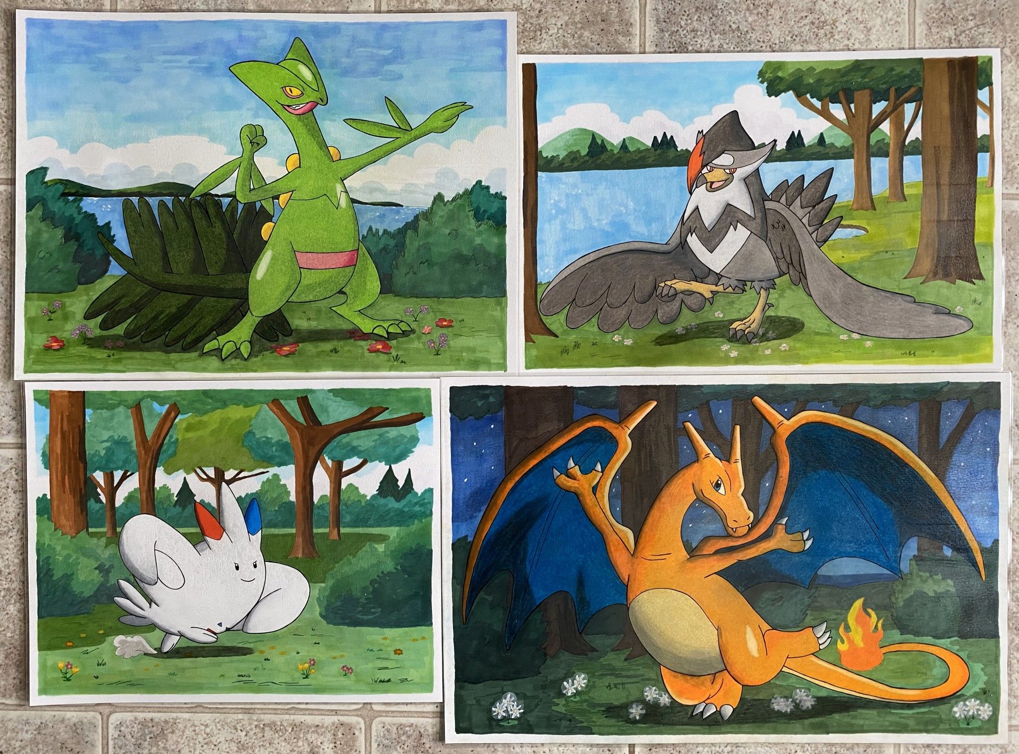 A collection of drawings featuring some of my favorite Pokémon of all time! Sceptile, Staraptor, Togekiss and Charizard are my main favorites.