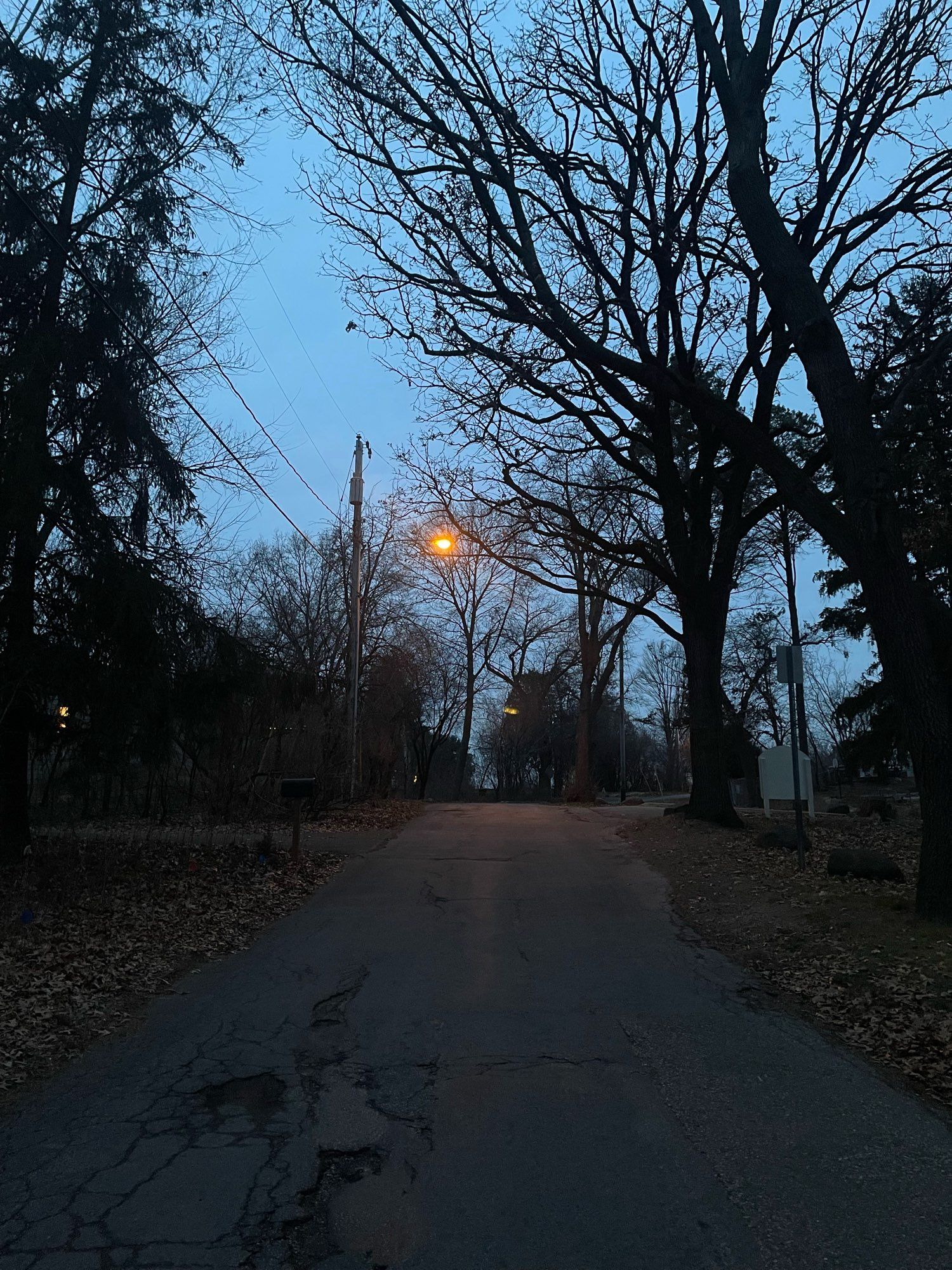 Looking uphill on a paved road during blue hour. The road has a large patch of broken asphalt / potholes at the near left. There are no sidewalks but there are trees along both sides of the road, some with bare branches, some evergreen. Two houses with lighted windows can be seen along the road through the trees on the left side, and there is an unreadable white wooden sign on the right in the distance. A streetlight glows orange in the dim light against an overcast gray-blue sky near the top of the hill.