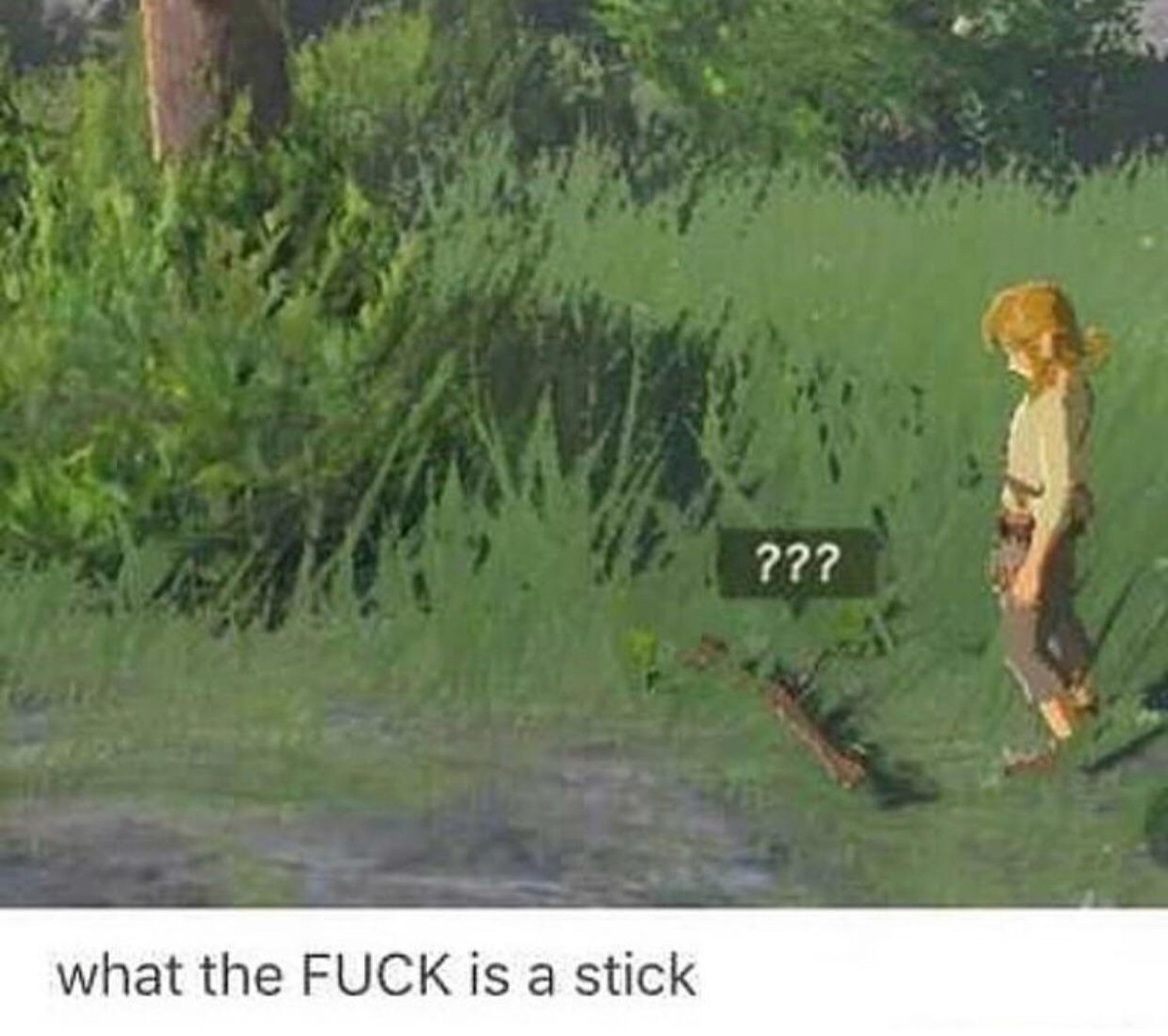 Link from Breath of the Wild looking at a stick with question marks over it.