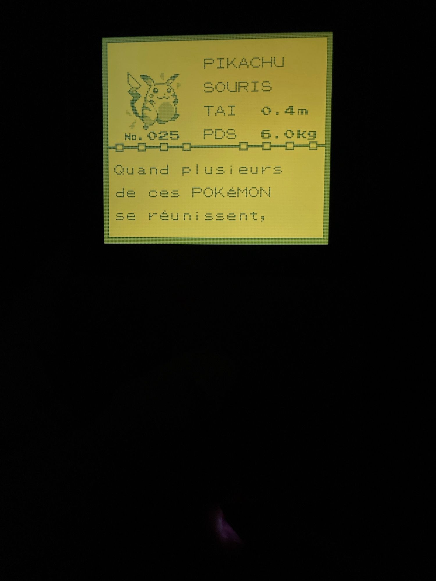 Pikachu on the pokedex (Pokemon red)