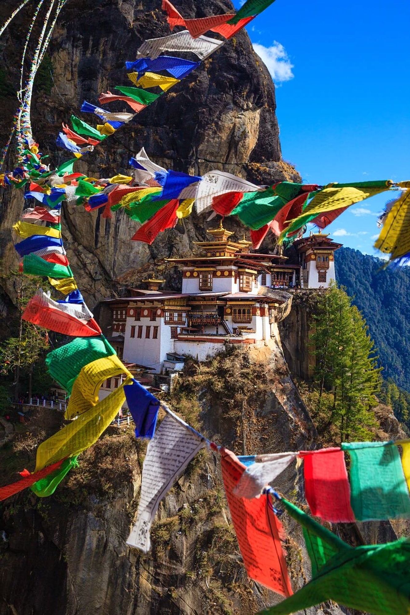 Buddhist monastery sits precariously on the cliff side, whilst prayer flags move in the breeze in the foreground sending blessings out into the world.