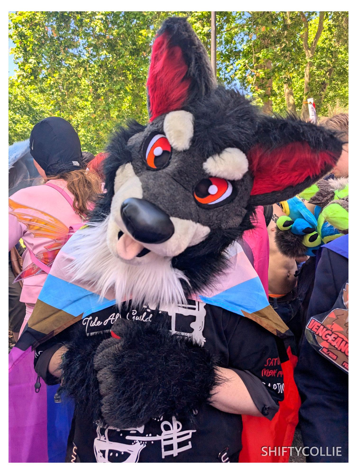 A photo taken outdoors in a crowd of people, the main centre point of the image being a grey and white canine with red inner ears and eyes. They are wearing a black graphic jacket and the progressive pride flag. They are tilting their head to their left and holding their paws together at their chest.