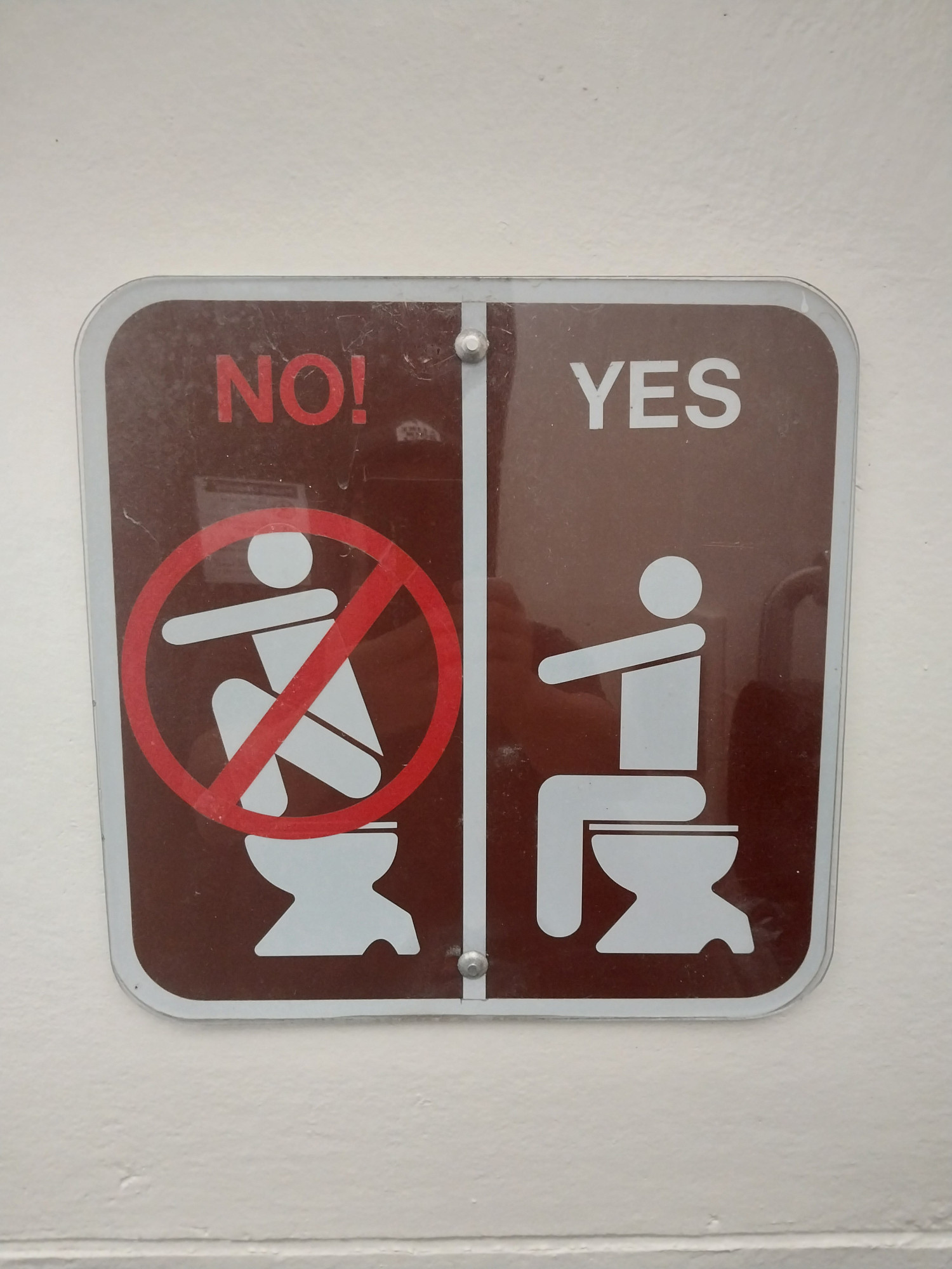 official toilet sign with someone standing on a toilet squatting, and a cross out with NO, vs a person sitting on a toilet normally with the word YES, but also the sitting yes person is holding their arms out horizontally because this is how proper poops happen