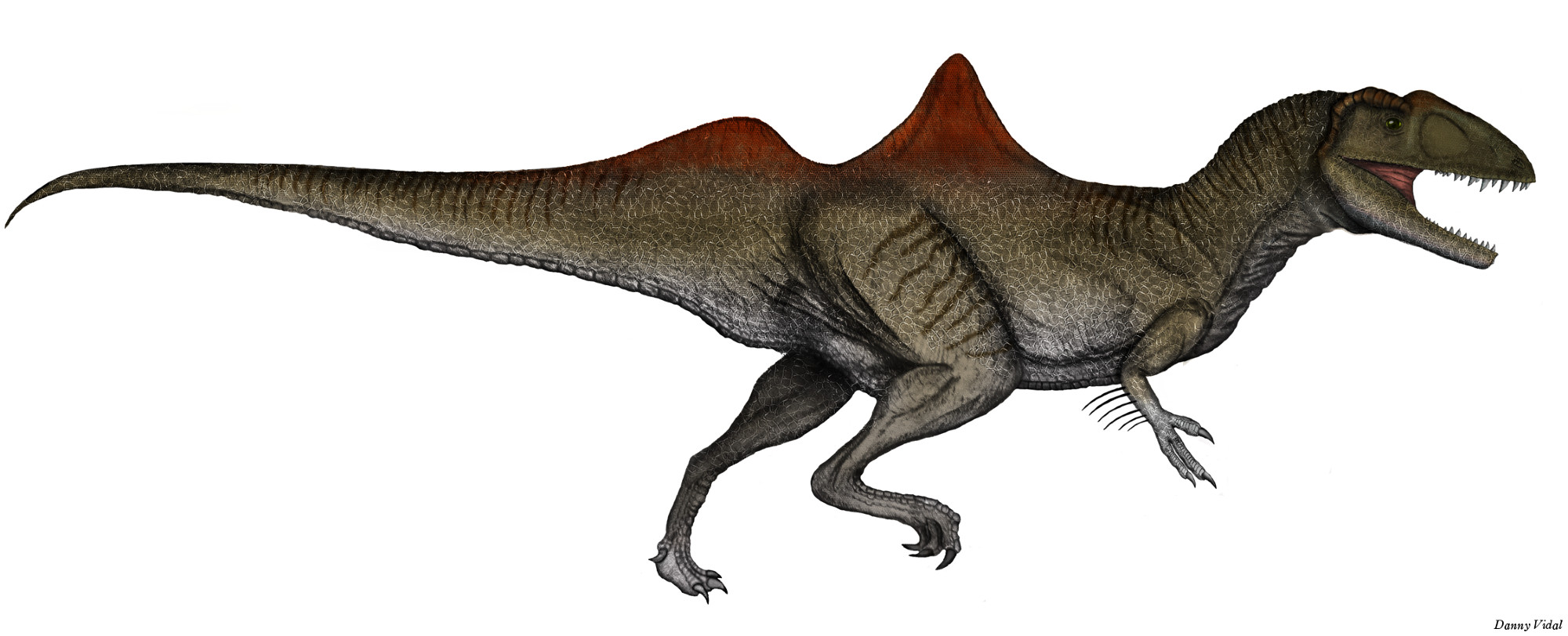 A dinosaur called the Concavenator. It looks like a velociraptor with two distinct humps. He is very caked up