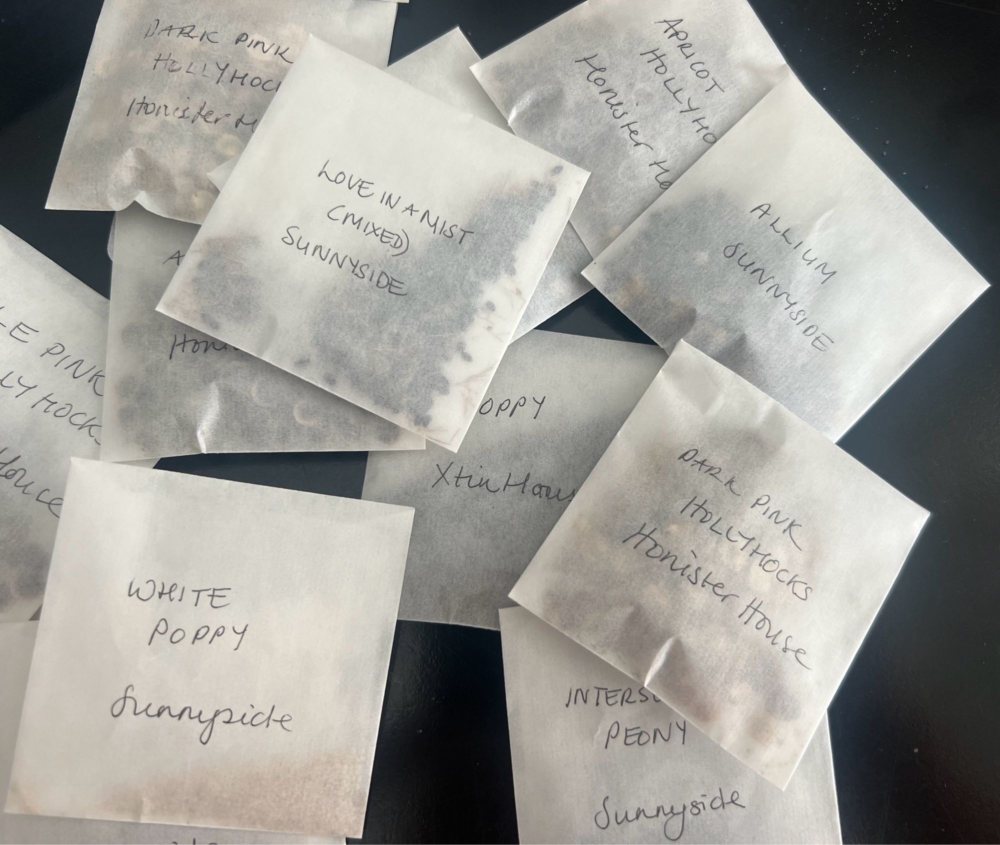 Various seeds in glassine envelopes