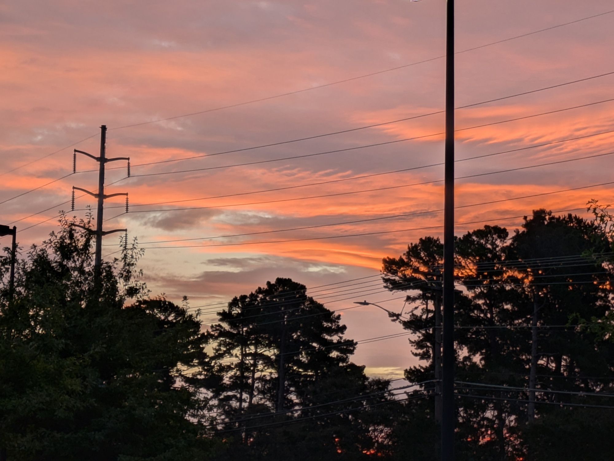 The sky covered in clouds turning a orange hue from the sunset behind them in the distance. Trees and powerlines stand in front of the beautiful display.