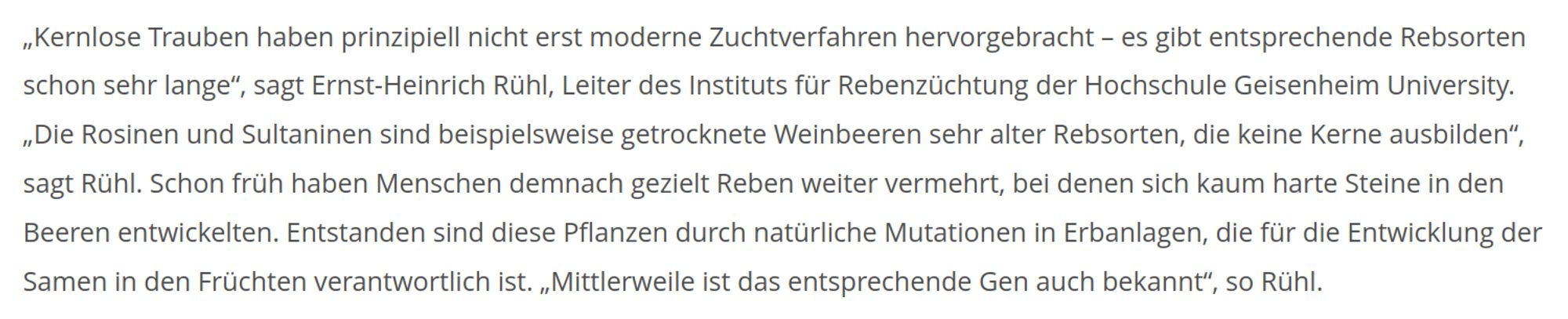 „Kernlose Trauben haben prinzipiell nicht erst moderne Zuchtverfahren hervorgebracht – es gibt entsprechende Rebsorten schon sehr lange“, sagt Ernst-Heinrich Rühl, Leiter des Instituts für Rebenzüchtung der Hochschule Geisenheim University. „Die Rosinen und Sultaninen sind beispielsweise getrocknete Weinbeeren sehr alter Rebsorten, die keine Kerne ausbilden“, sagt Rühl. Schon früh haben Menschen demnach gezielt Reben weiter vermehrt, bei denen sich kaum harte Steine in den Beeren entwickelten. Entstanden sind diese Pflanzen durch natürliche Mutationen in Erbanlagen, die für die Entwicklung der Samen in den Früchten verantwortlich ist. „Mittlerweile ist das entsprechende Gen auch bekannt“, so Rühl.