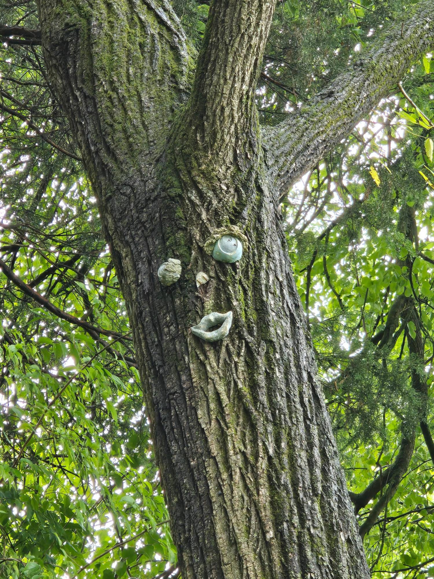 TREE WITH EYES AND LIPS