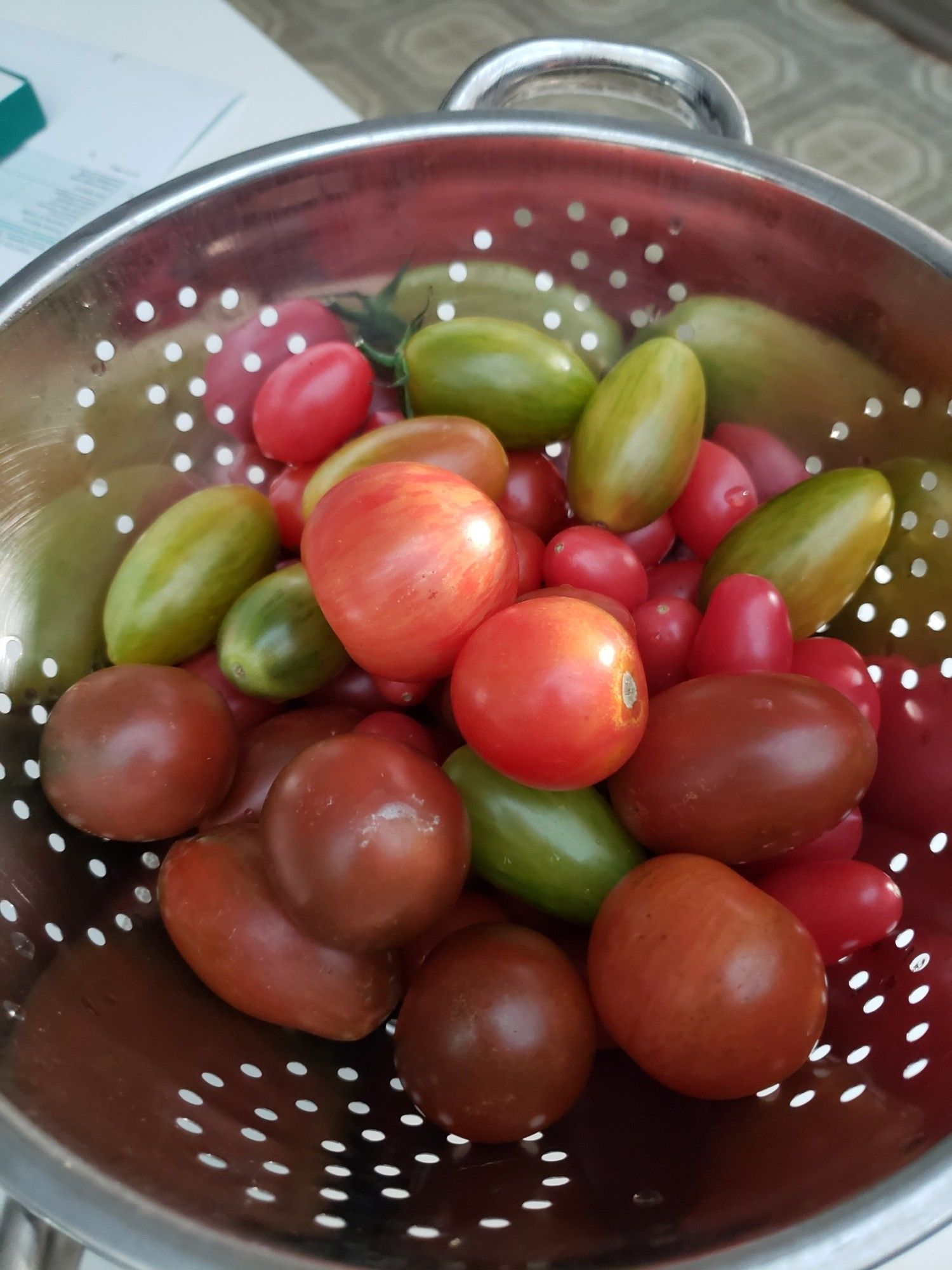 A collander full of washed multicolor heirloom tomatoes, orange striped, pink oblong cuties, red rounds, torpedo green stripeys. I eat at least 20 a day. Bought some of these to save seeds.