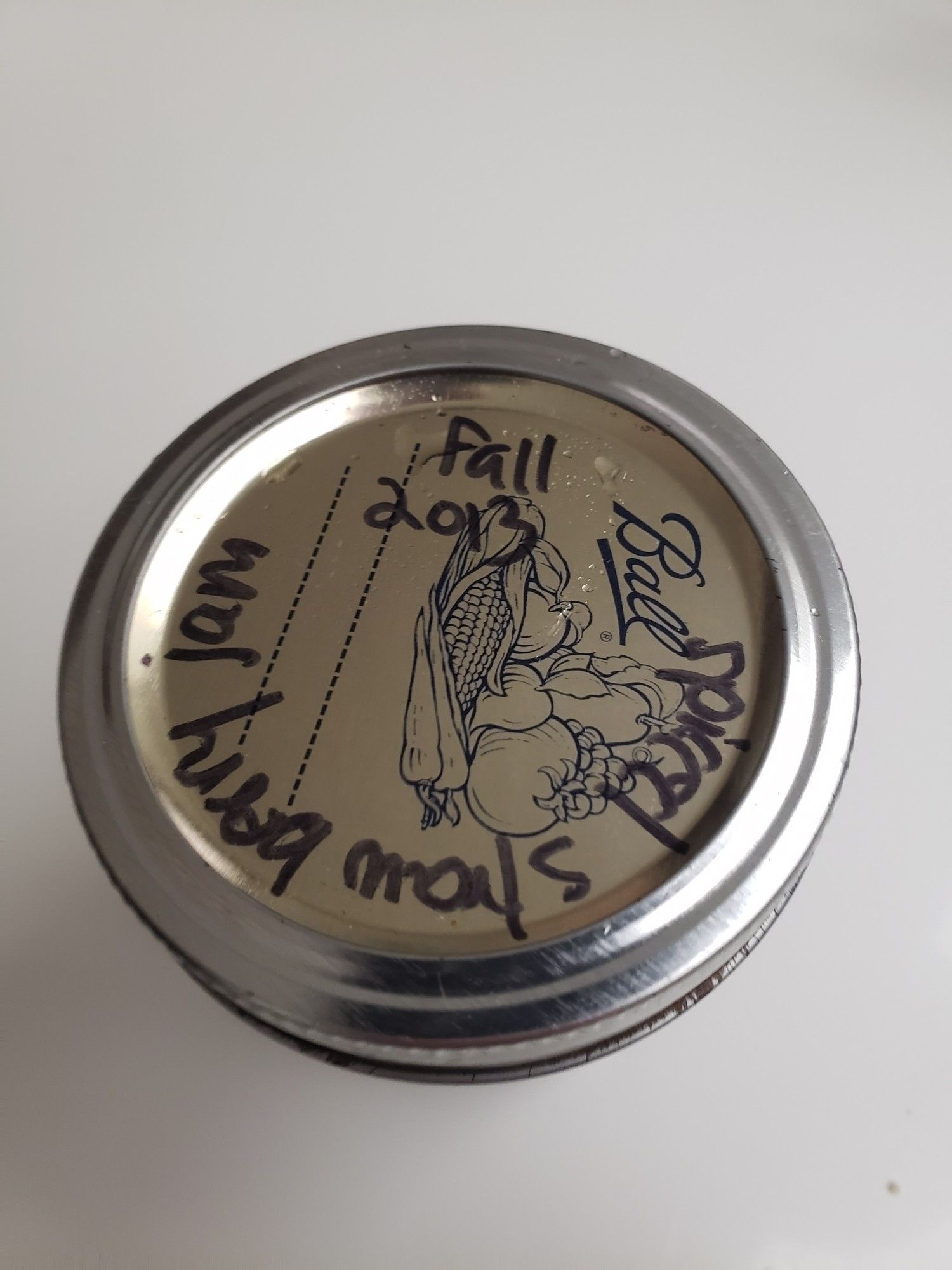 The canning jar lid of some jam I found in the back of my cupboard, it says in sharpie, Fall 2013 Spiced Strawberry Jam. I'm about halfway through the jar and still alive talking about it.