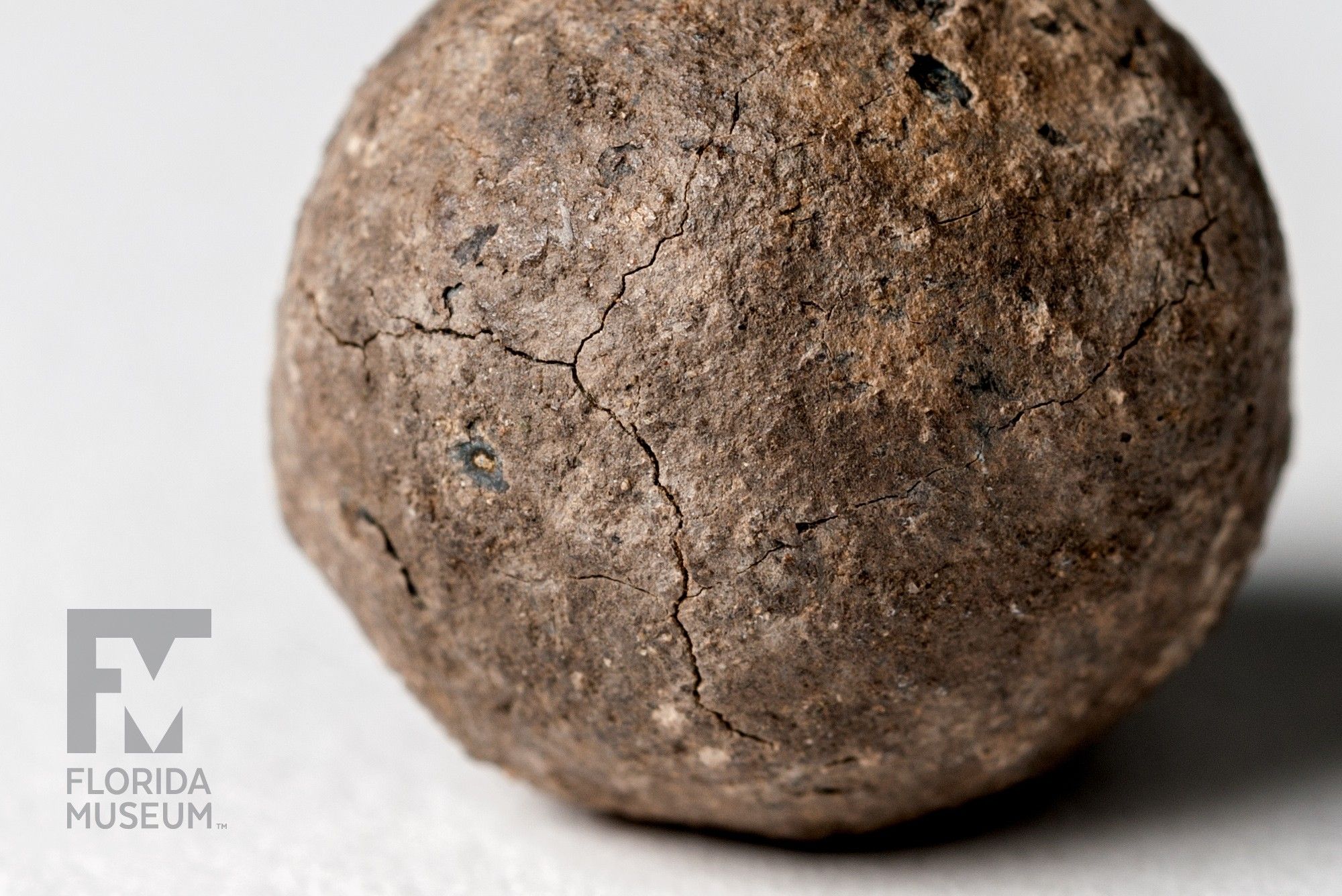 lumpy brown sphere with fine cracks in the surface