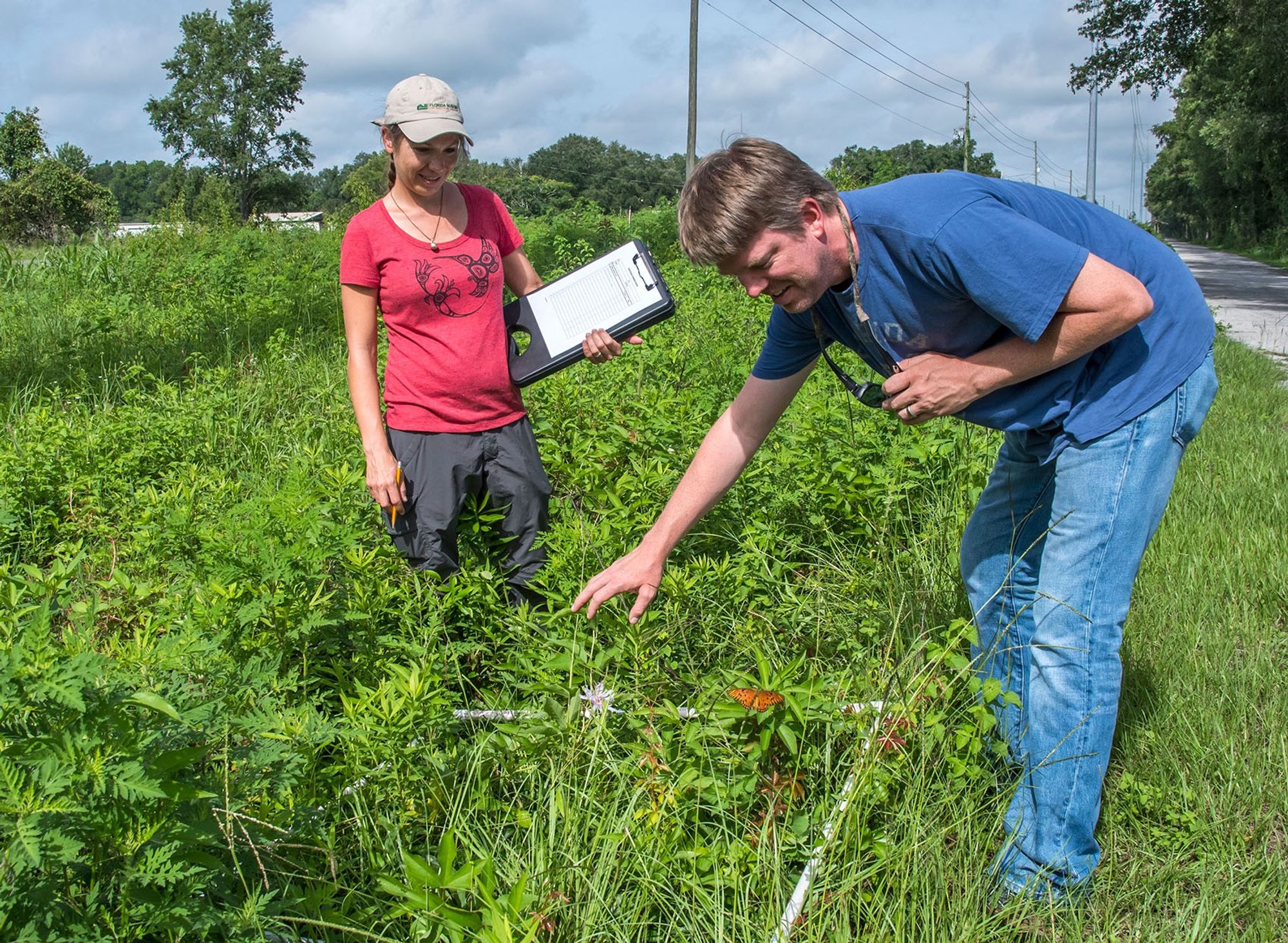 two people are standing in an outdoor roadside space with a lot of waist-high greenery. One is holding a clipboard and the other is leaning over to gesture at a plant