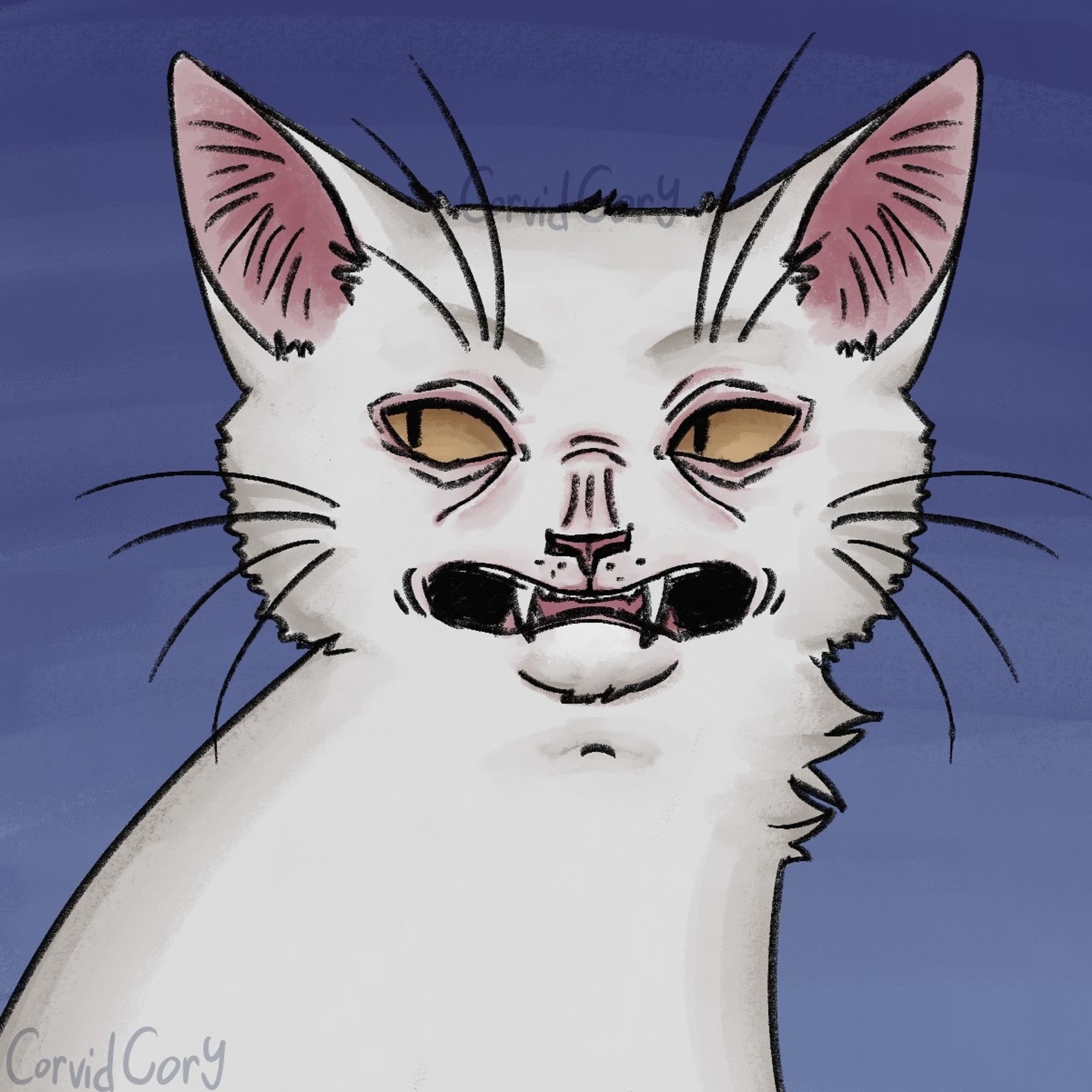 A white scrungy cat with yellow eyes that looks vaguely human-like.