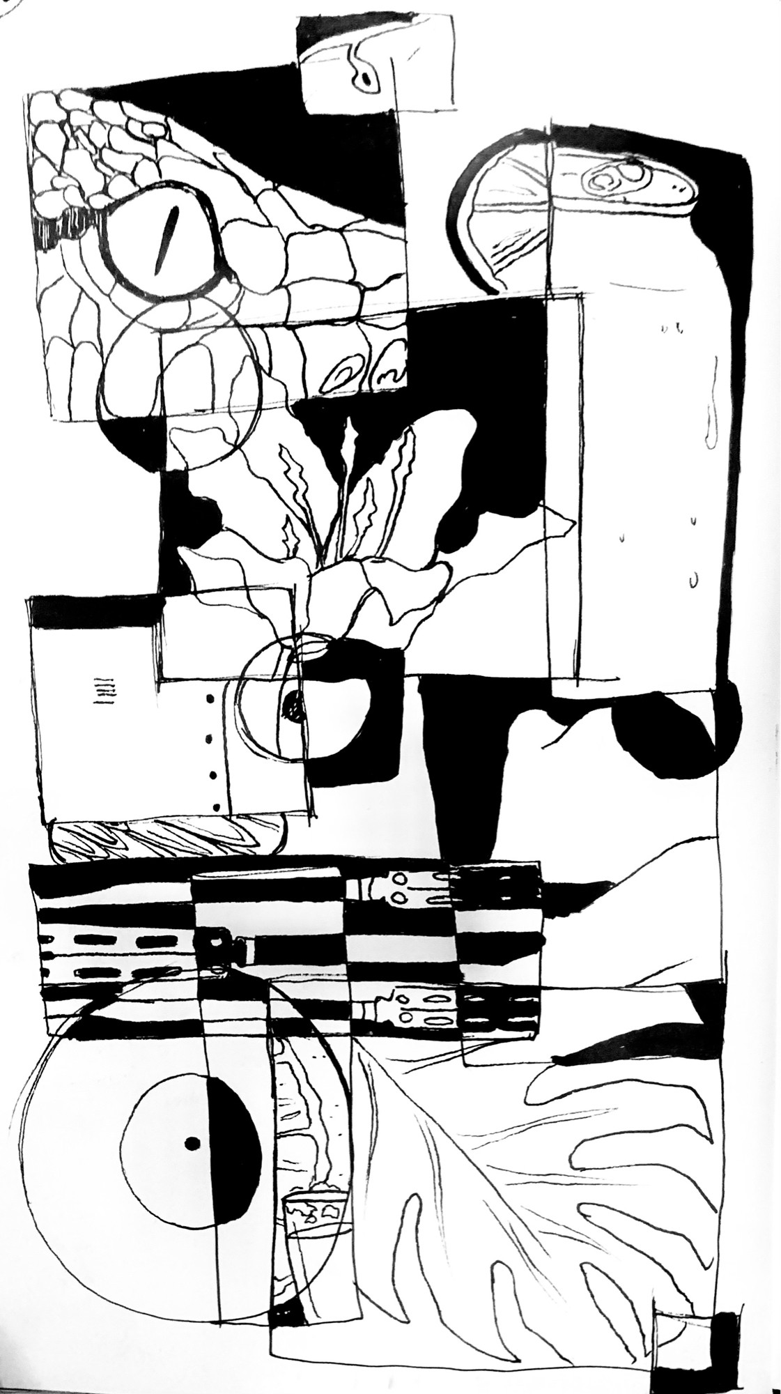 Black and white pen drawing of various objects, confined to boxes and circles. Some objects overlap.