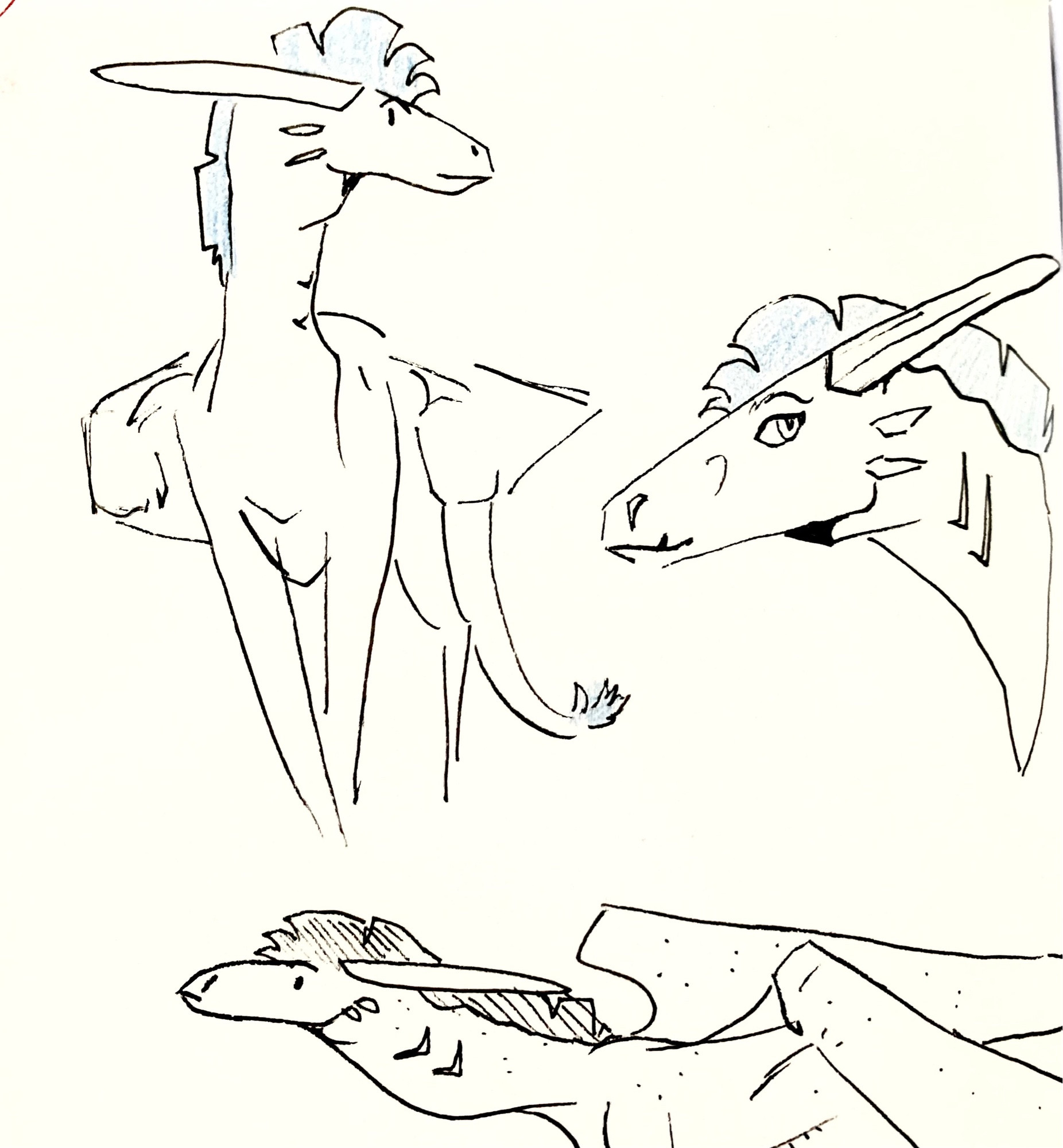 Simple pen doodles of a dragon. His expressions are simple, open, and curious.