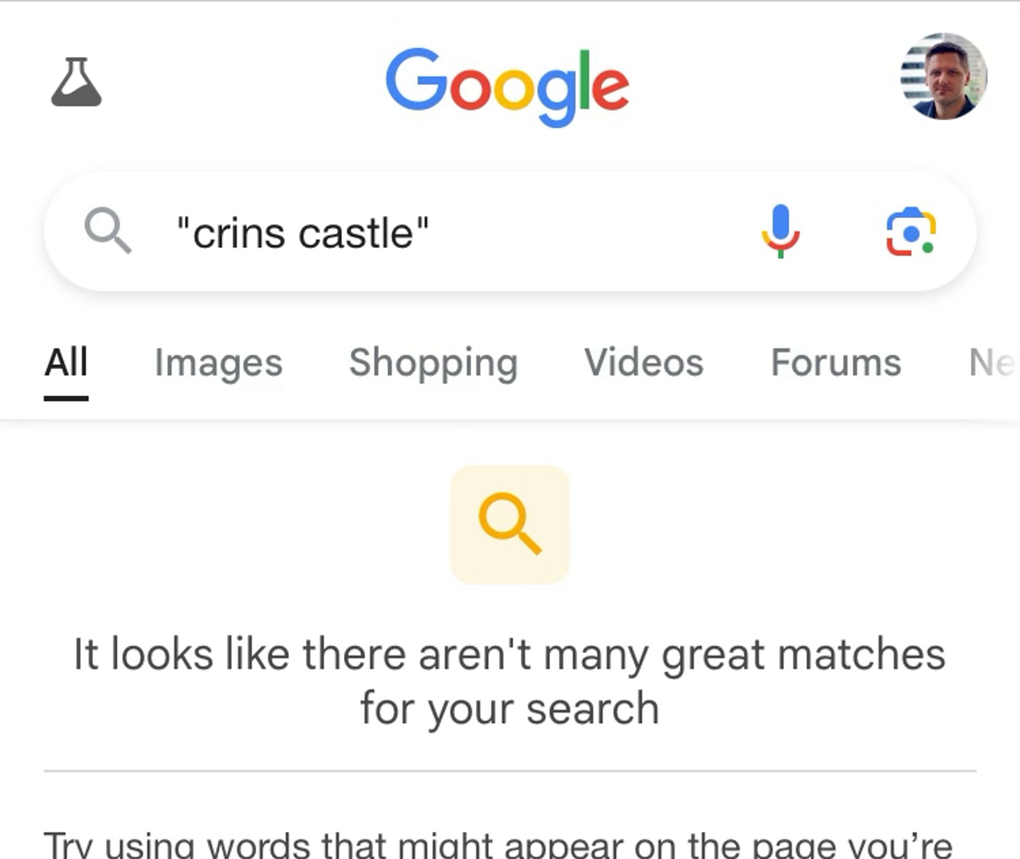 A screenshot of a Google search for “Crin’s Castle” that returns the message “It looks like there aren’t many great matches for your search”