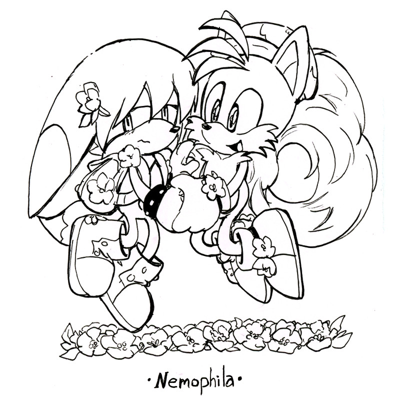 Tails and Kit the Fennec are mid air holding hands, Tails is smiling but Kit's gaze is averted out of embarrasment. Nemophila, also known as "Baby Blue Eyes", is a sky blue flower with a strong affinity for water, Nemophila symbolize innocence, forgiveness, and send a message of “I wish you happiness”