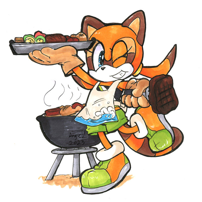 Marine the Raccoon vs. Beach Barbeque: Marine from Sonic Rush Adventure is cooking meat and veggies on a small grill. Marine's smiling at the audience and holding a plate of cooked meat in one hand and has a steak on a fork in another holding it out to the viewer as if offering it to them. She's wearing a sporty swimsuit with shorts, her usual green and orange shoes and an apron over everything.