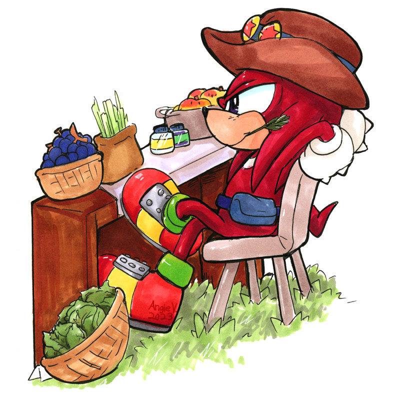 Knuckles the Echidna vs. Farmers Market: Knuckles is sitting in a chair that's behind a wooden counter. On the counter is a various fruits, vegetables, jam jars etc. like you would encounter at a outdoor farmers market stall. He's wearing his iconic cowboy hat from the OVA. He's leaning back in the chair relaxed but also looking proudly into the distance waiting for customers.