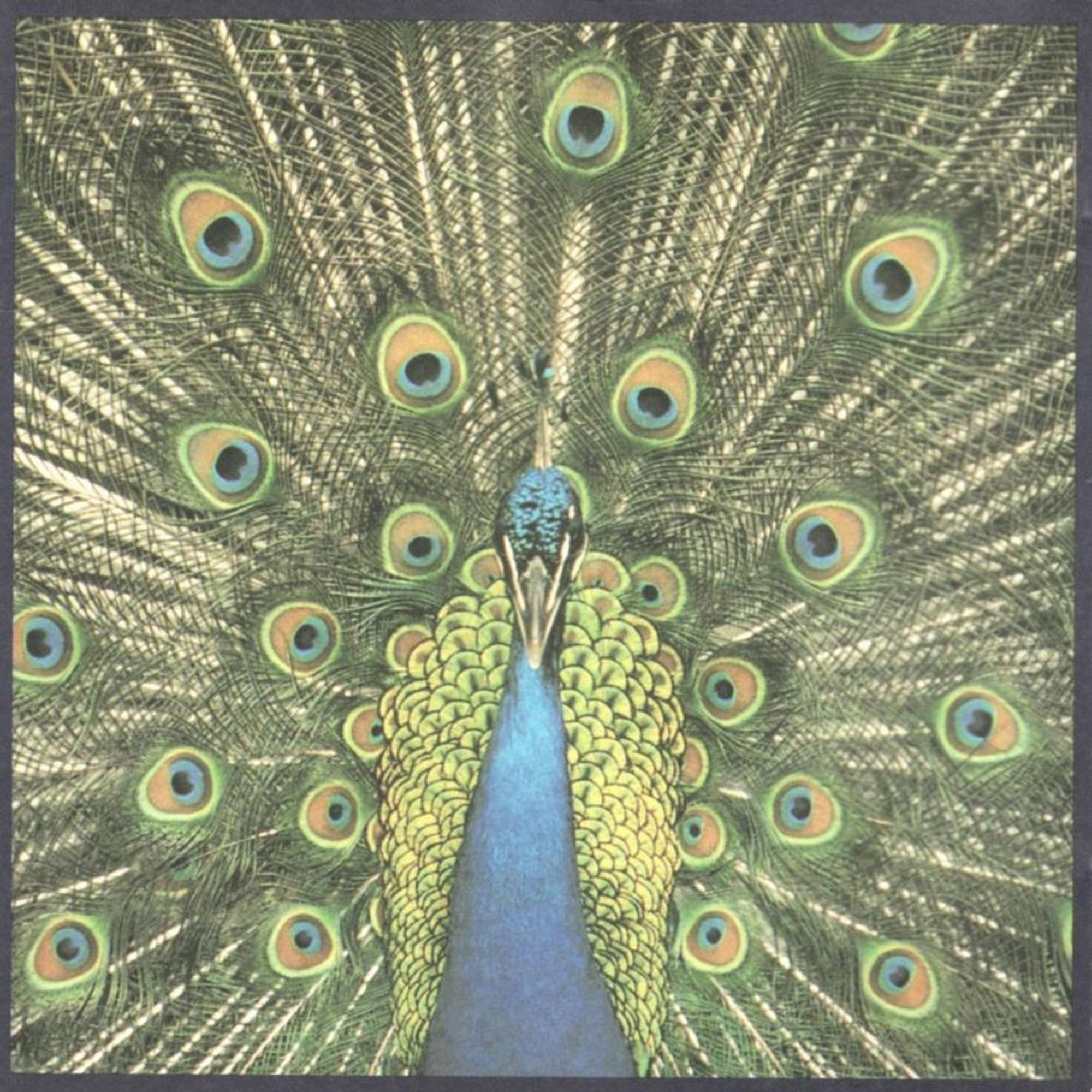 Album artwork for "Expecting to Fly" by The Bluetones