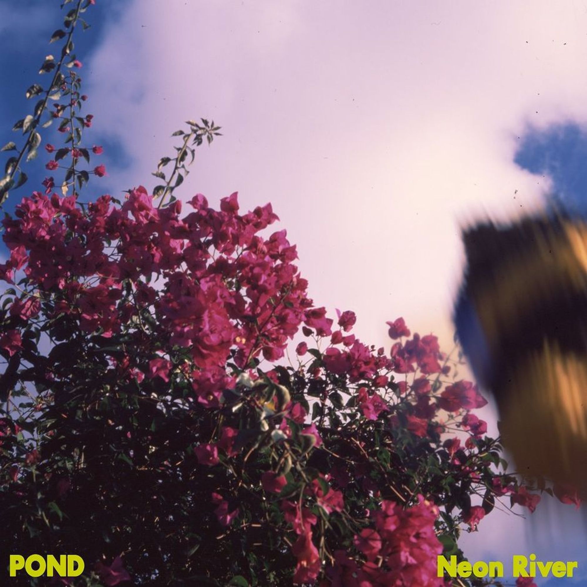 Album artwork for "Stung!" by Pond