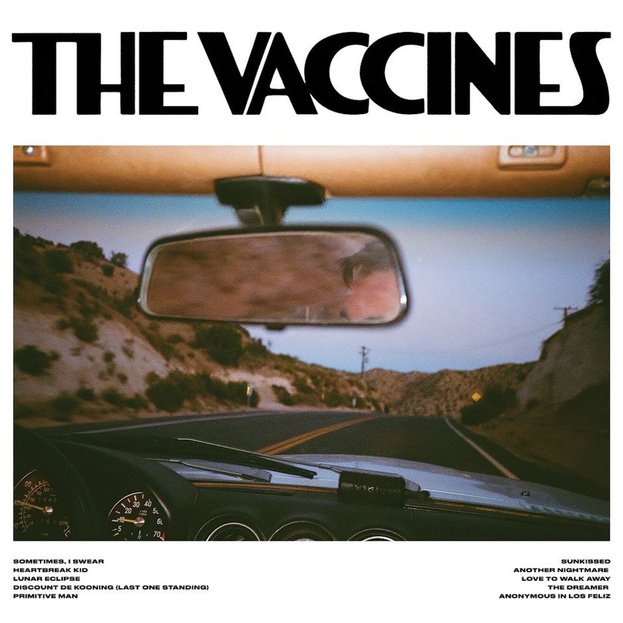 Album artwork for "Pick-Up Full Of Pink Carnations" by The Vaccines