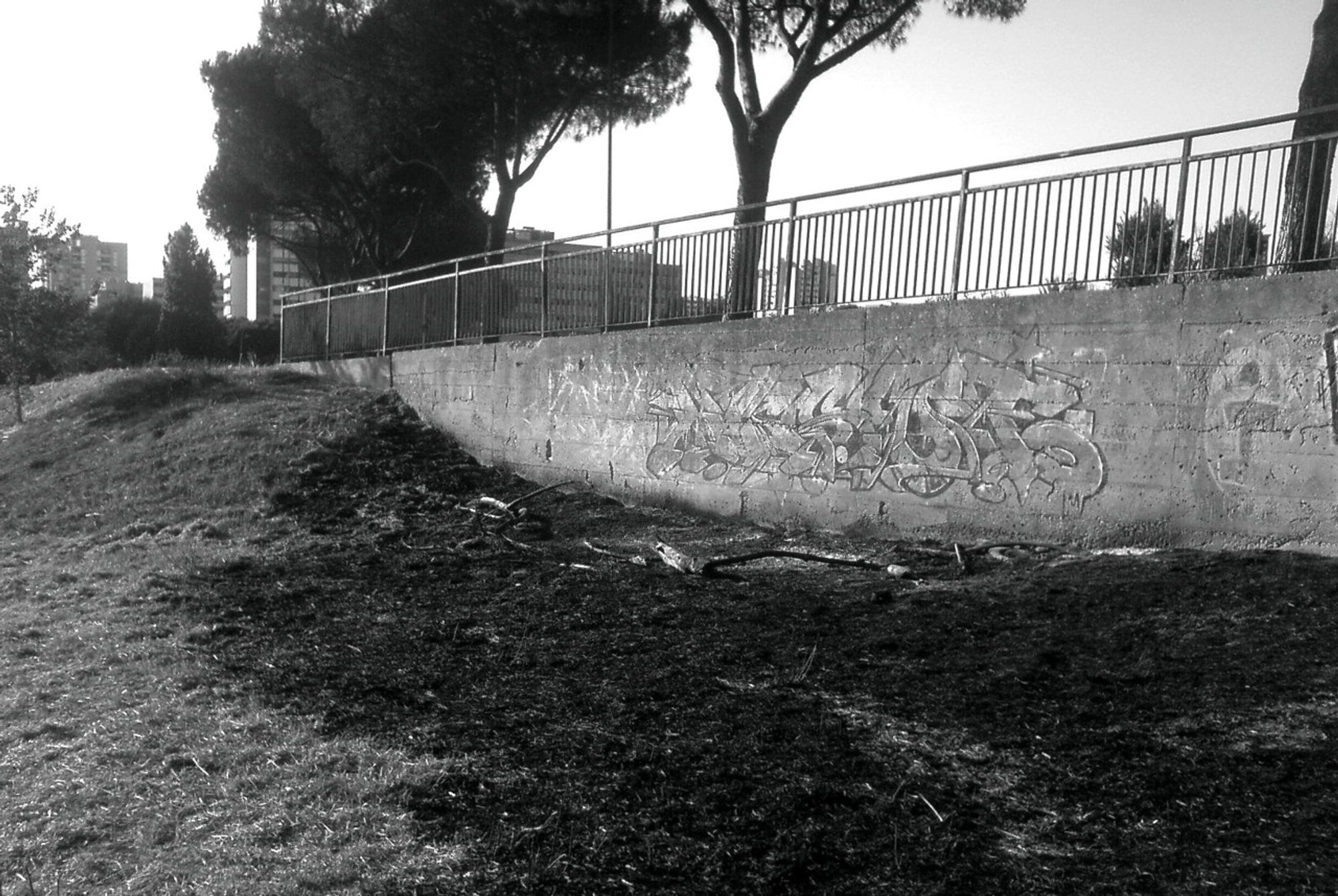 After a wildfire in the south of Rome, Italy - the flames burnt the dry grass below the wall in the foreground.