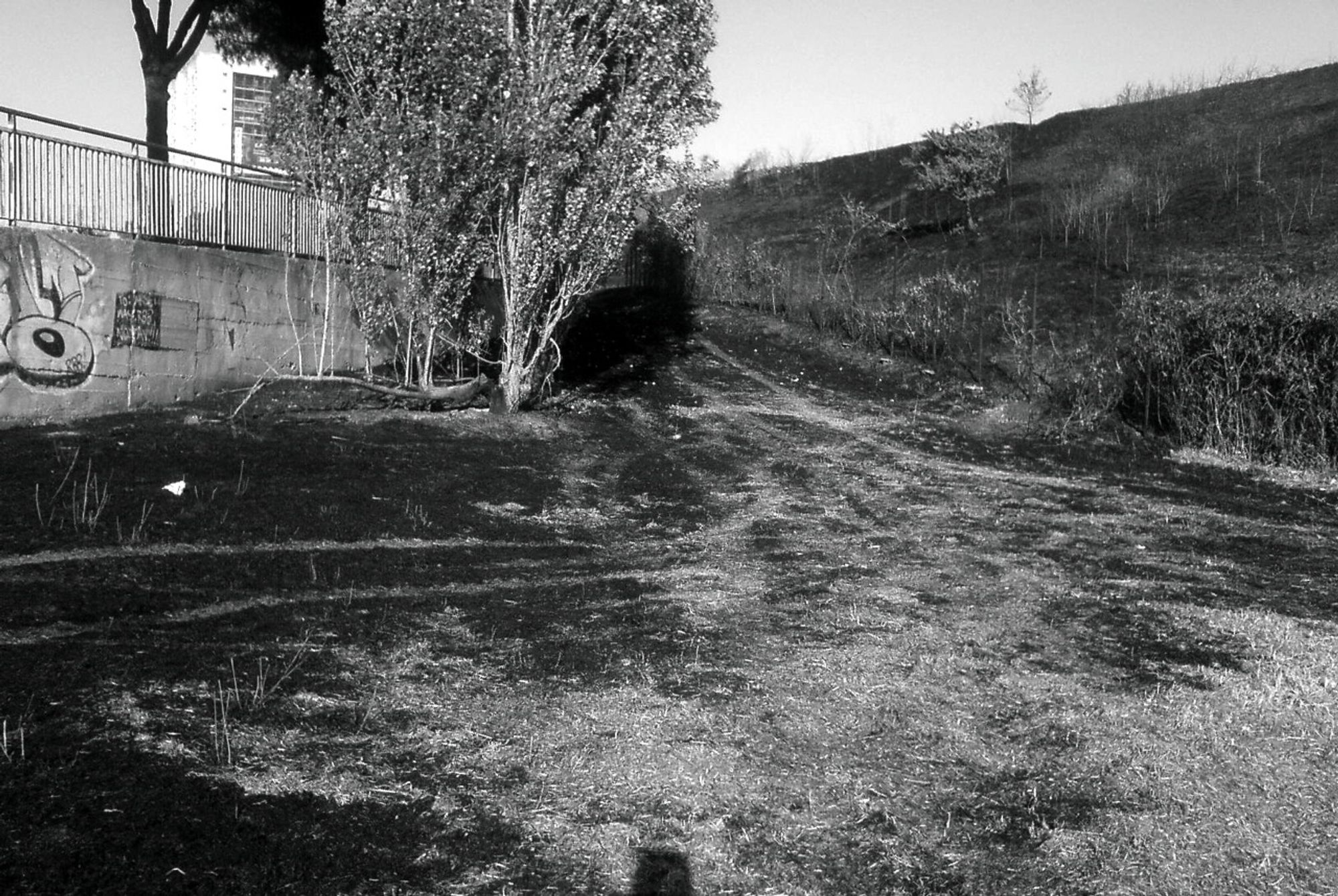 After a wildfire in the south of Rome, Italy - the flames burnt the dry grass below the wall in the foreground and much of the hill on the right.