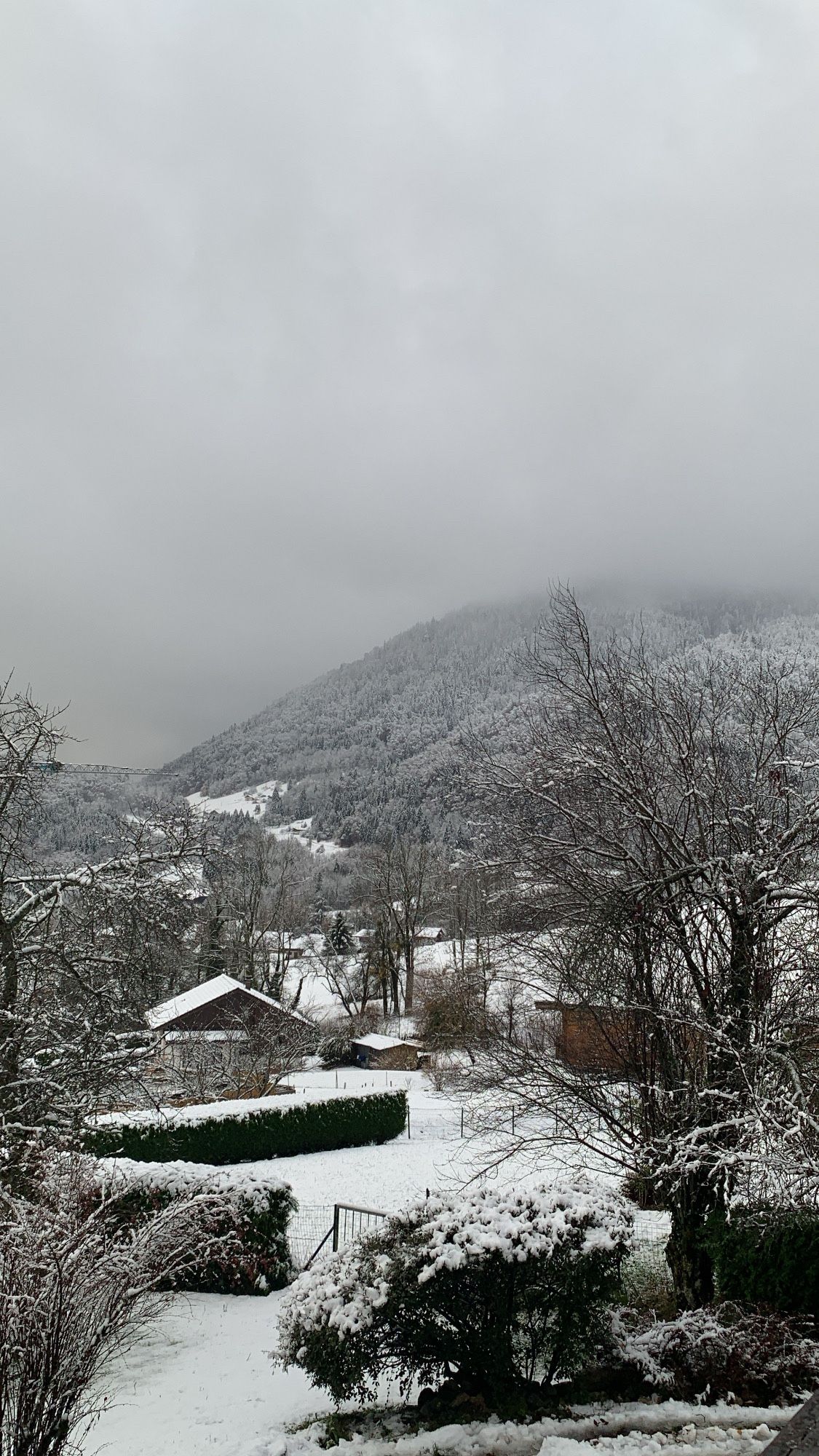 Neige en montagne 🏔️