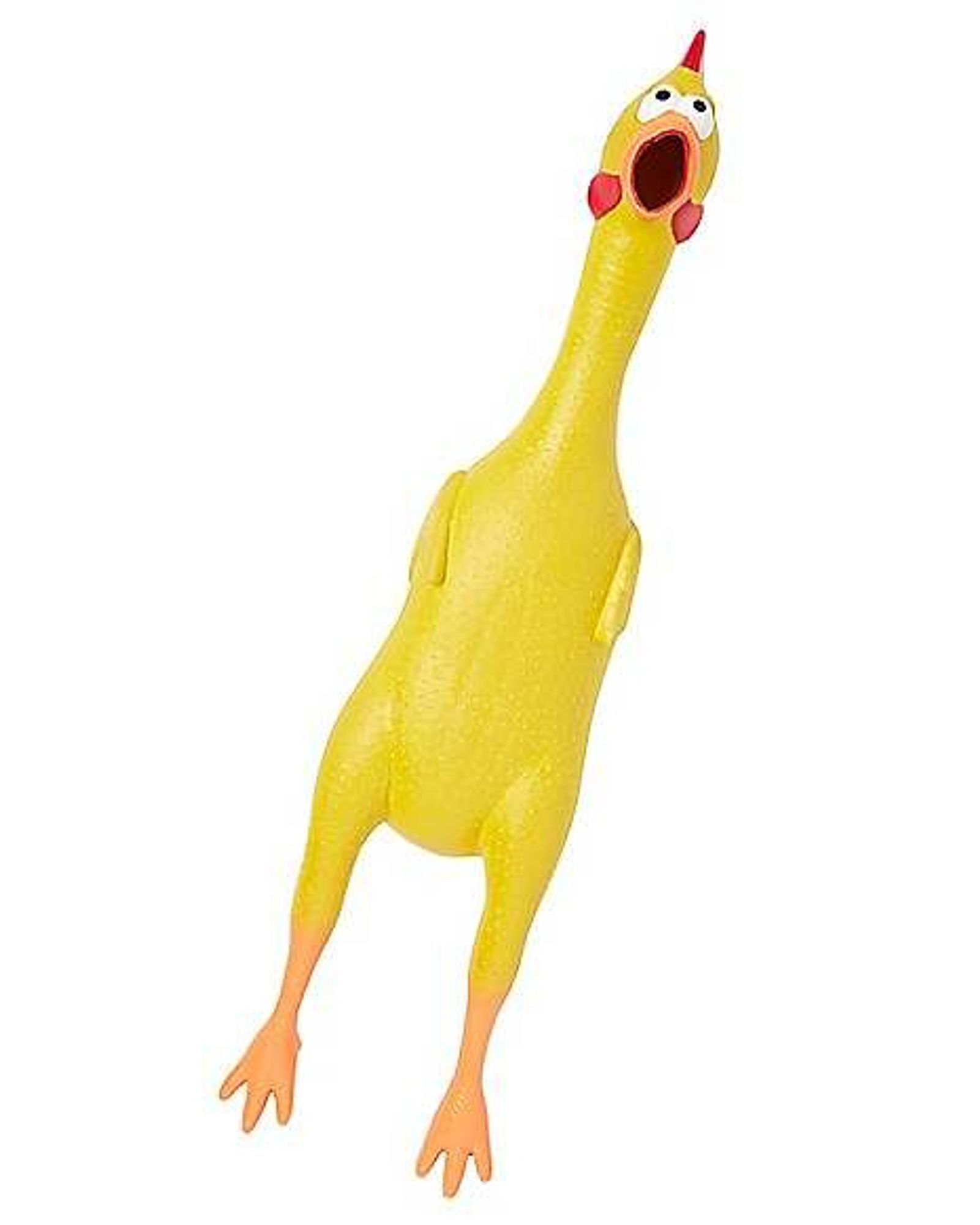 Squeaky rubber chicken