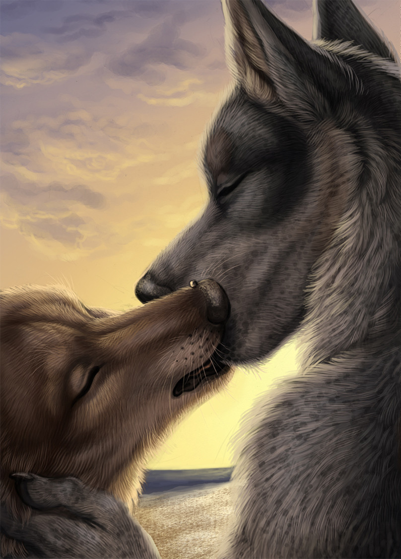 two canines kissing