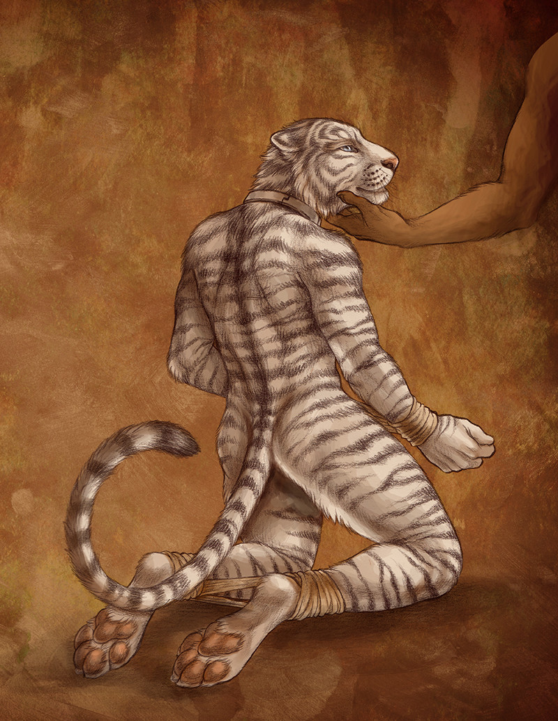 An anthro tiger, bound and being petted