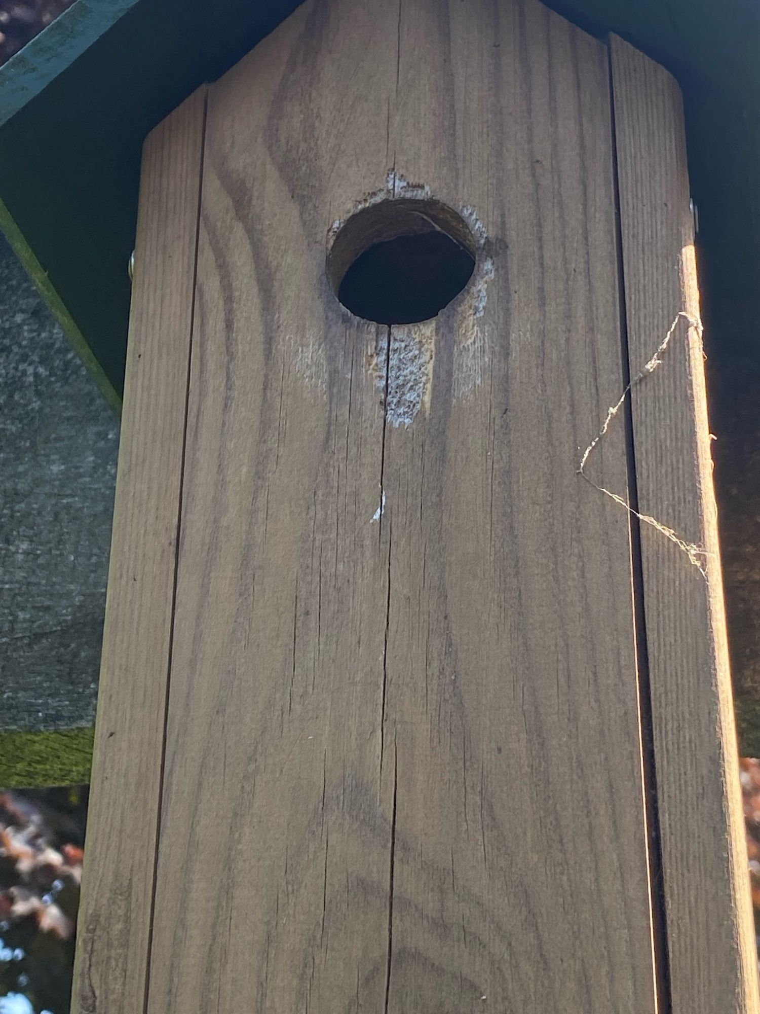 Vogelhuisje met haksporen bij gat