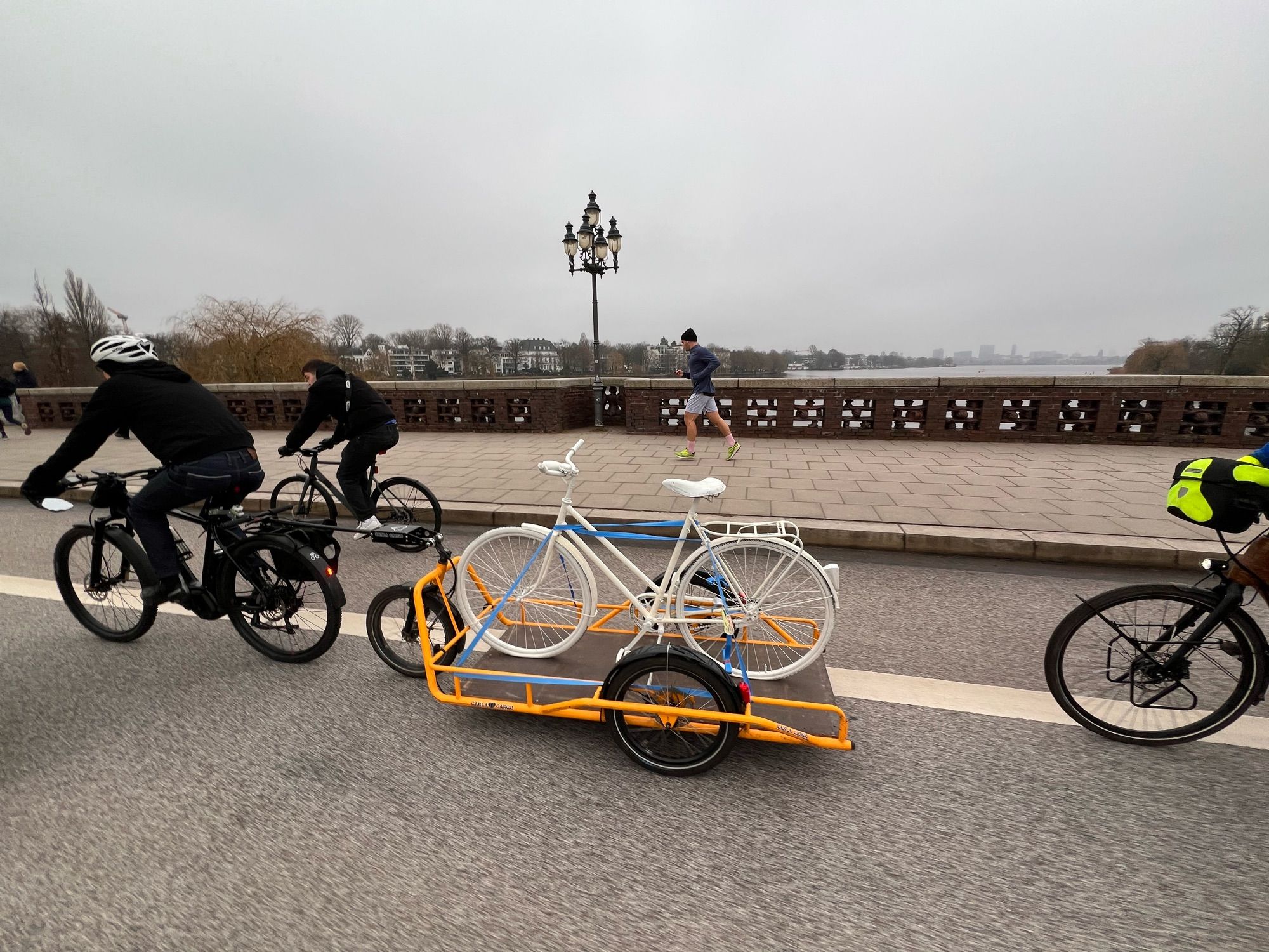 Natenom Fahrrad-Demo in Hamburg Ghostbike auf einem Fahrradanhänger, im Hintergrund die Außenalster