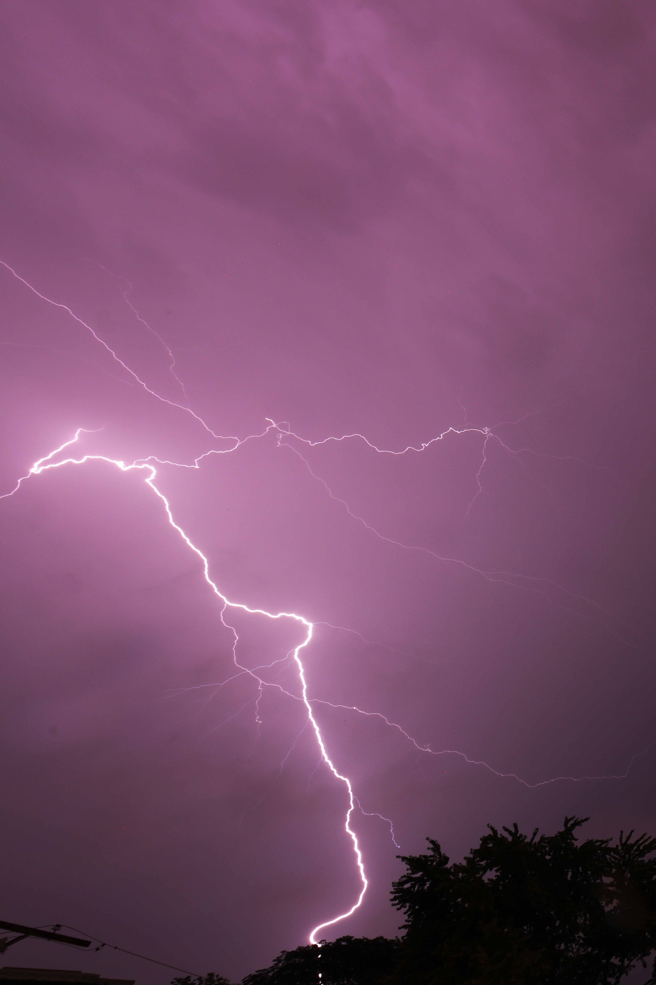 Lightning with many tendrils.