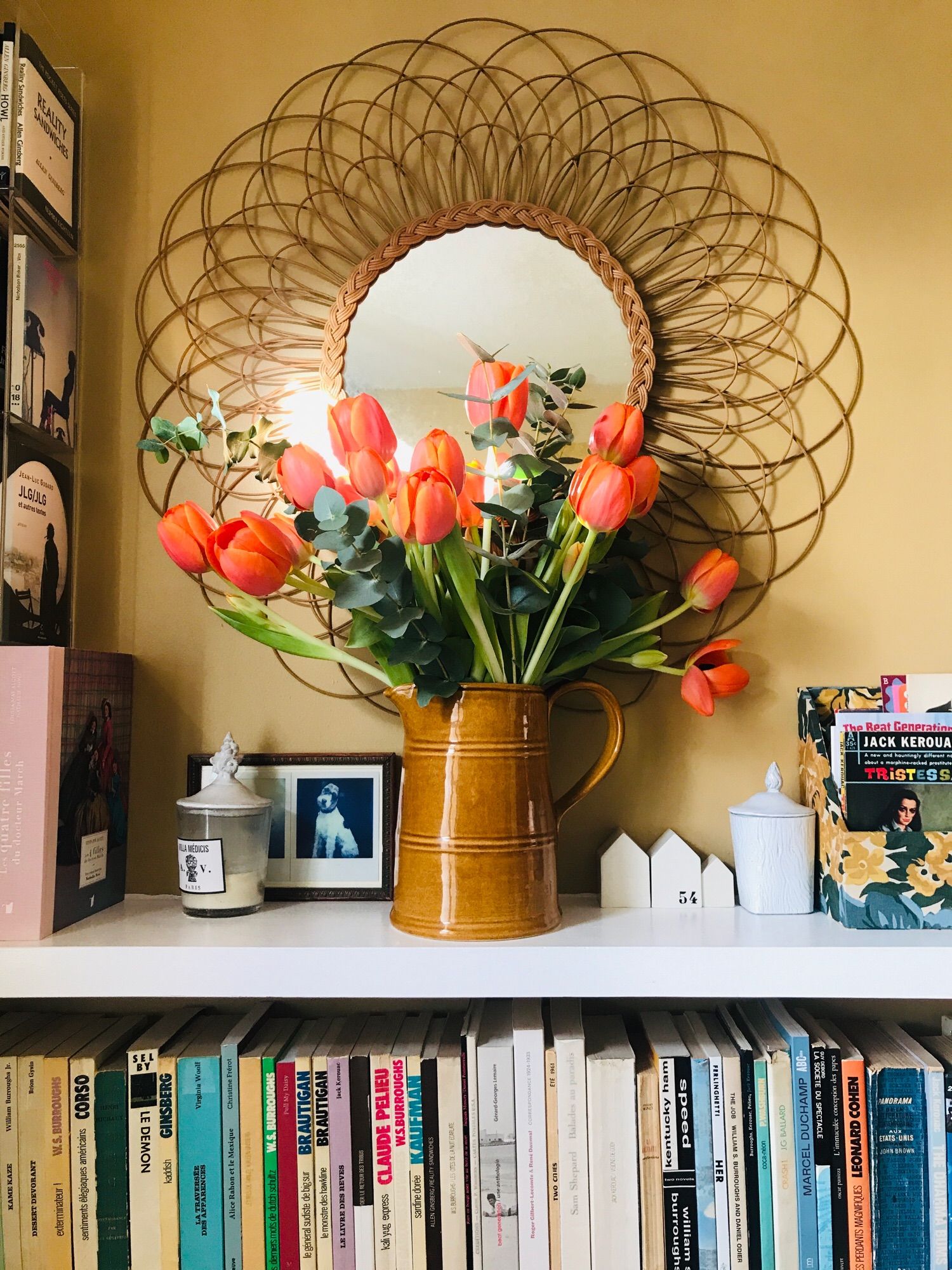 Tulipes oranges 🍊